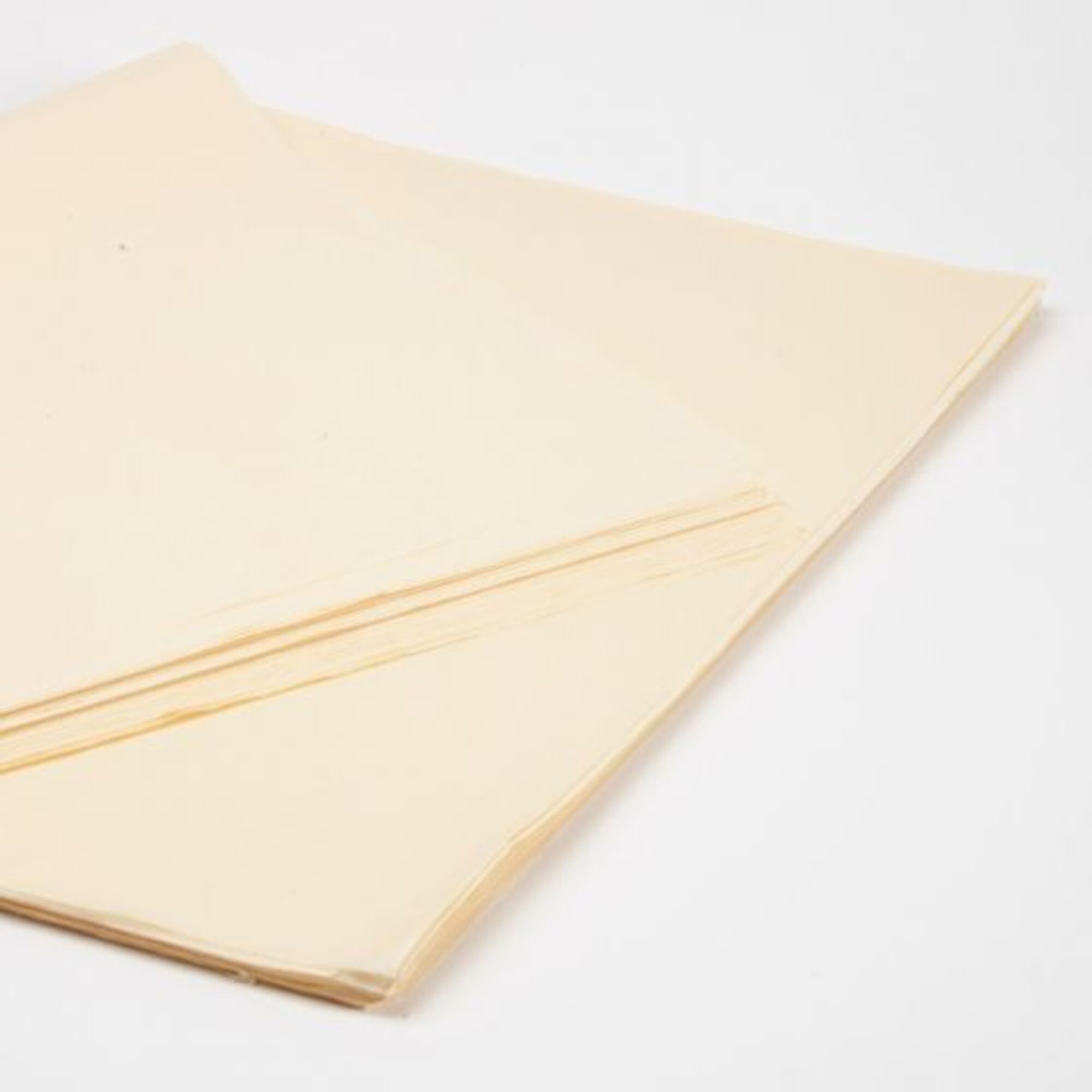 Tissue Paper - Creme
