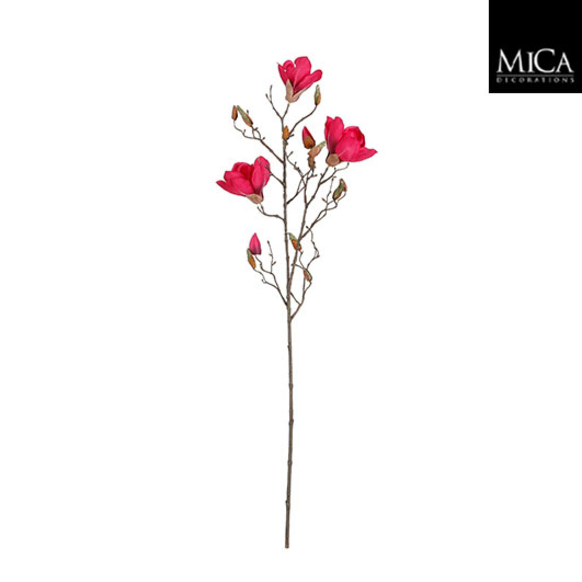 Magnolia d.roze