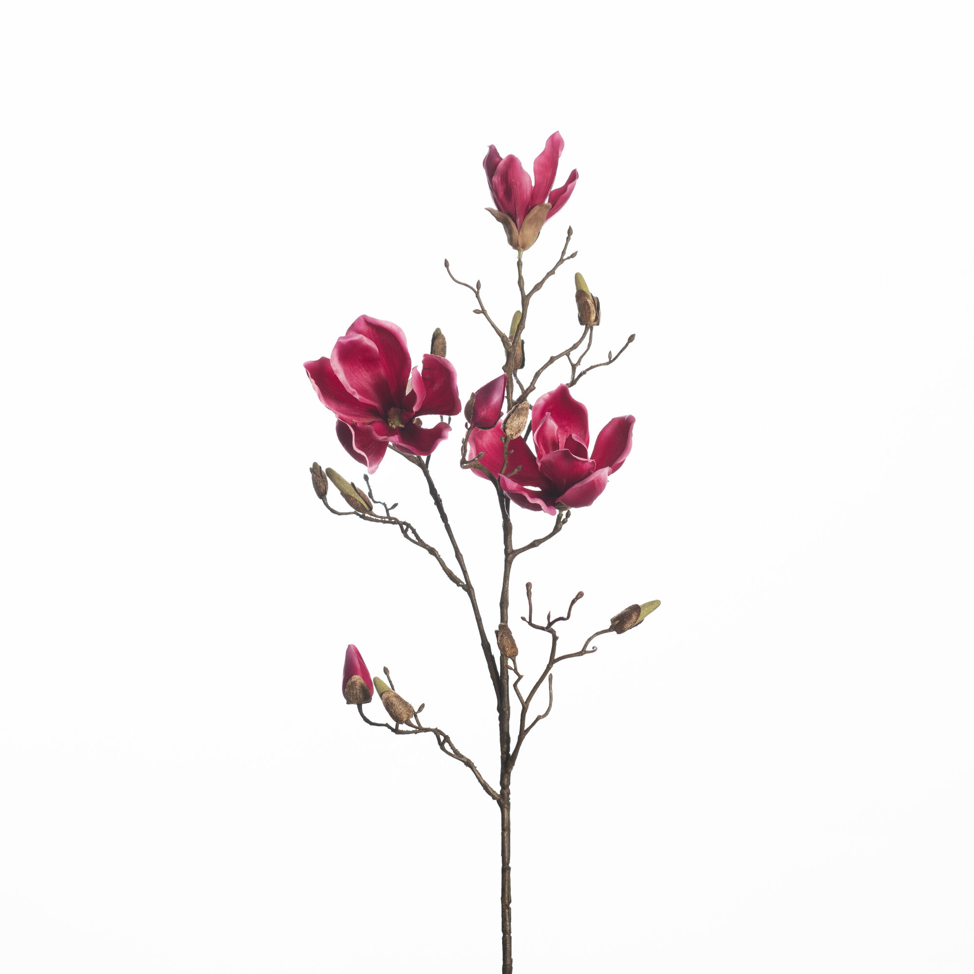 Magnolia - Fuchsia