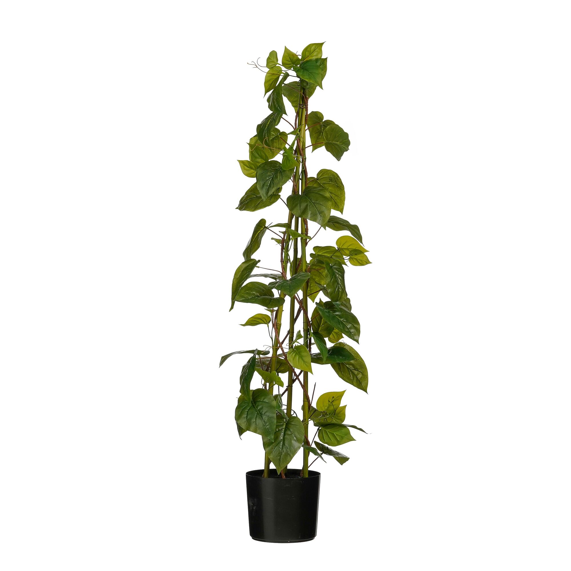 Philo in pot groen Real Touch