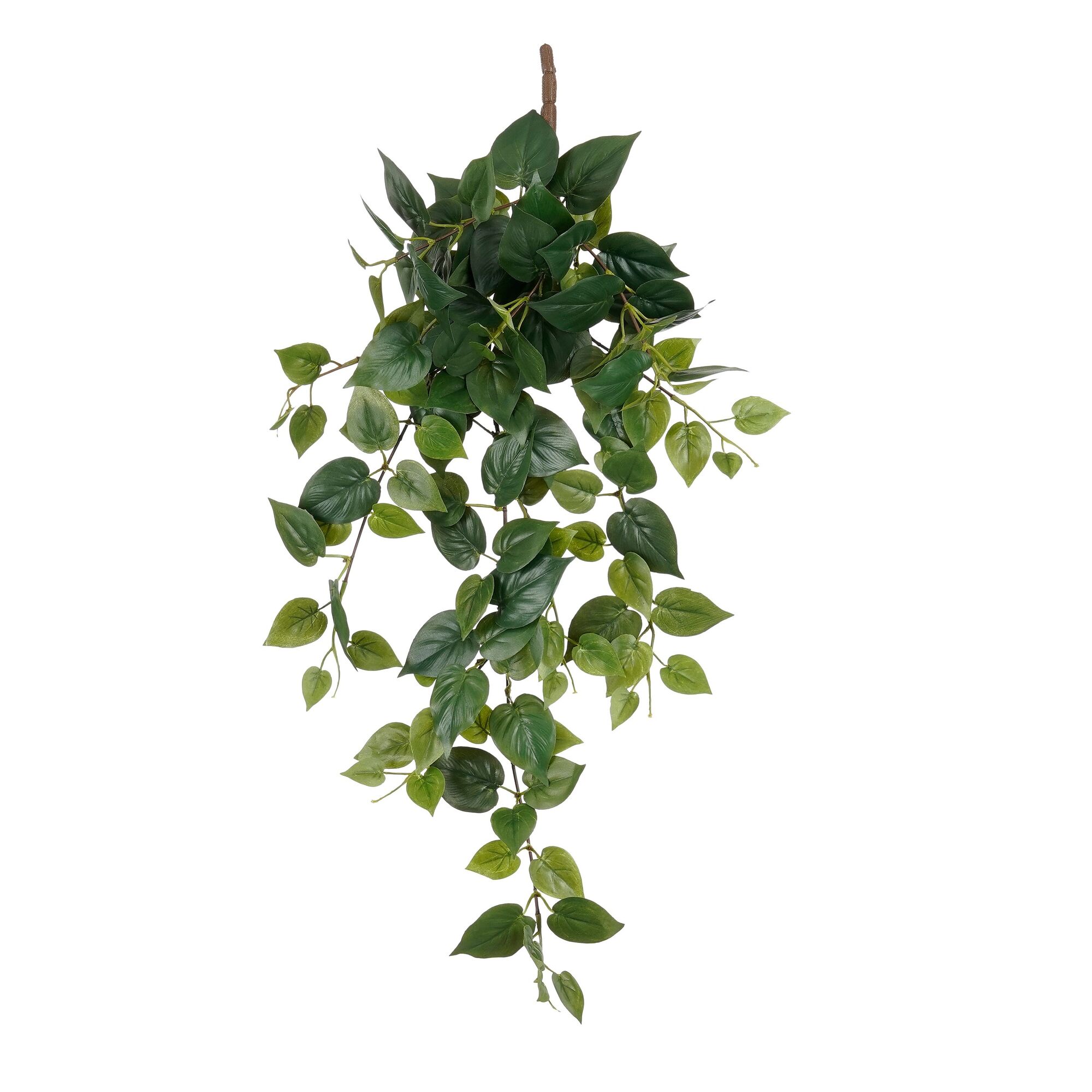 Philo hangend groen
