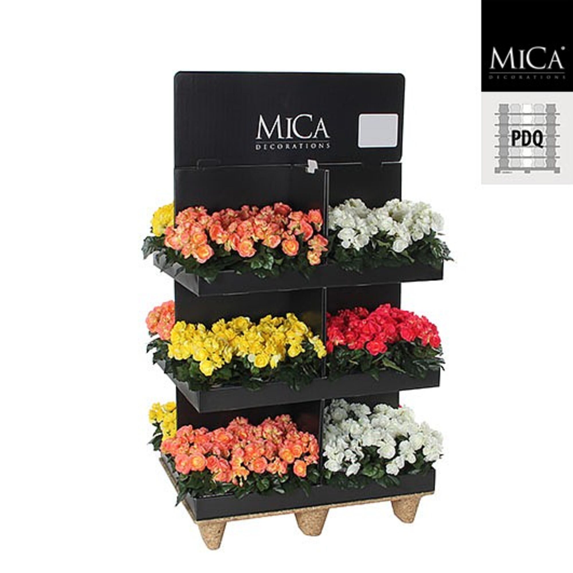 Begonia in pot 4 assorti pdq 96 stuks