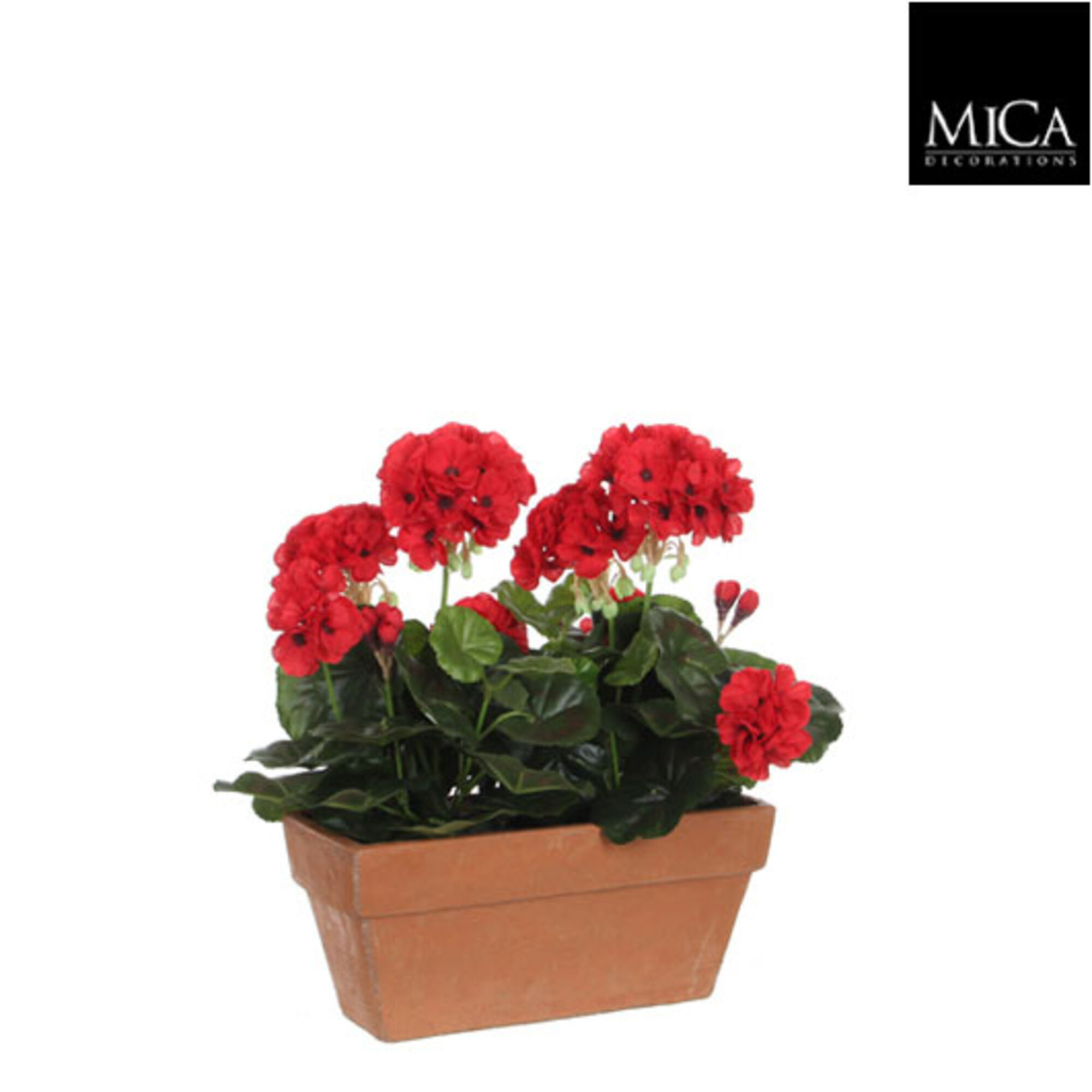 Geranium rood in balkonbak terra