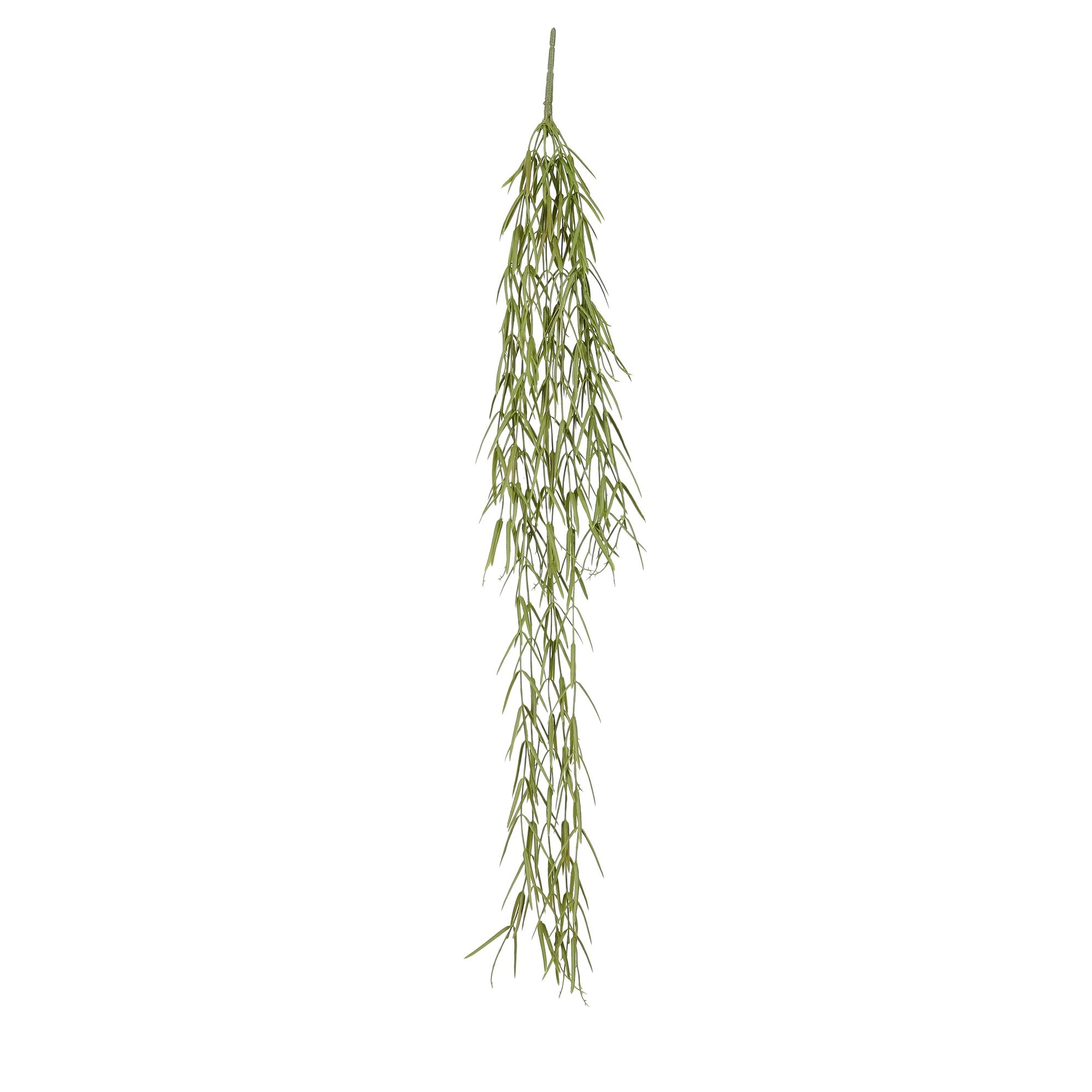 Springeria hangend groen