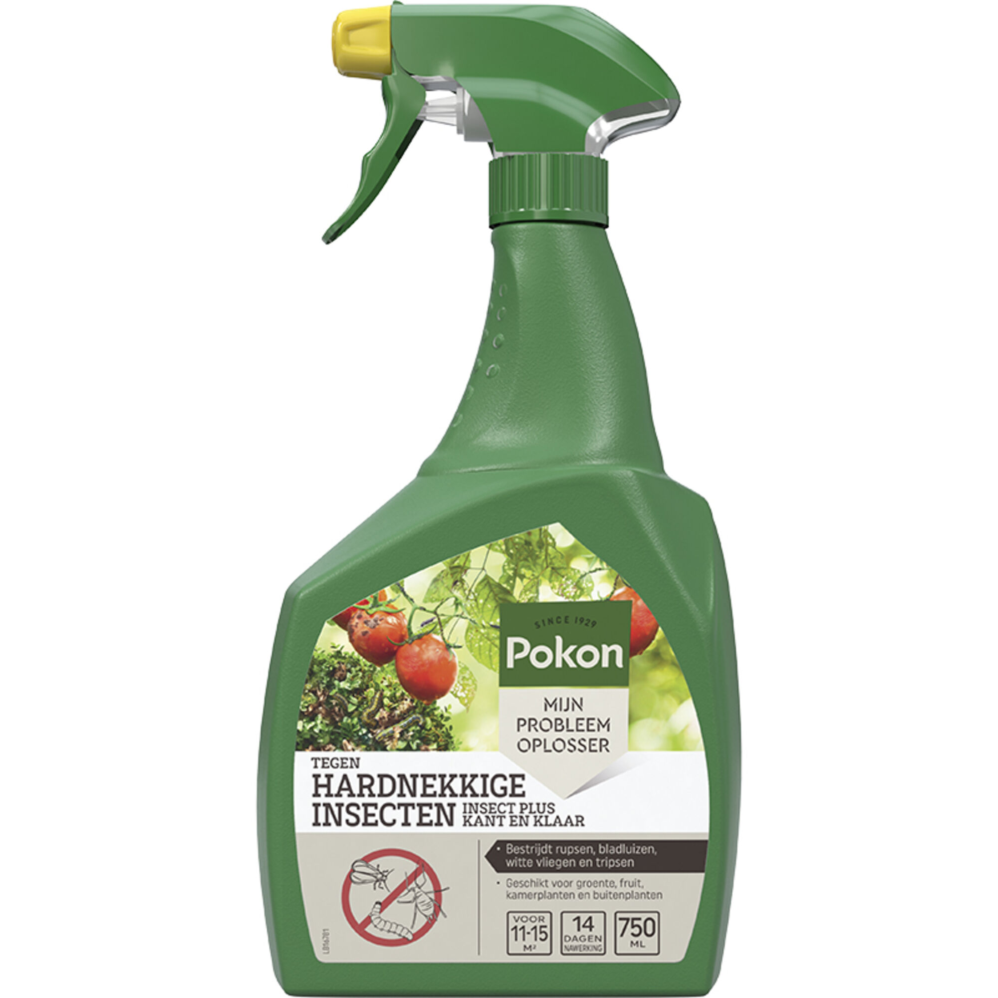 Pokon Tegen Insecten Hardnekkige Spray