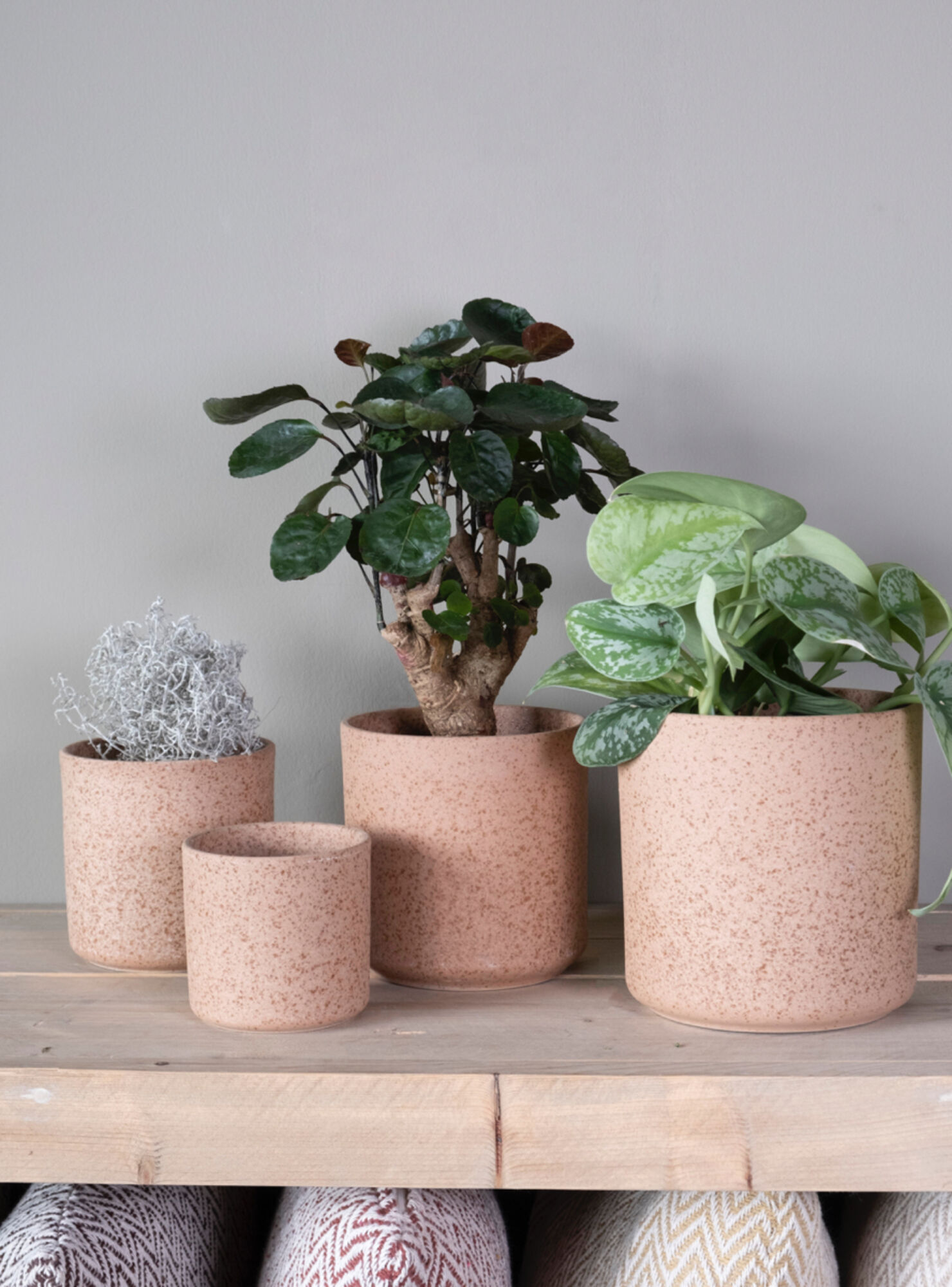 Cylinder Bloempot Keramiek bruin