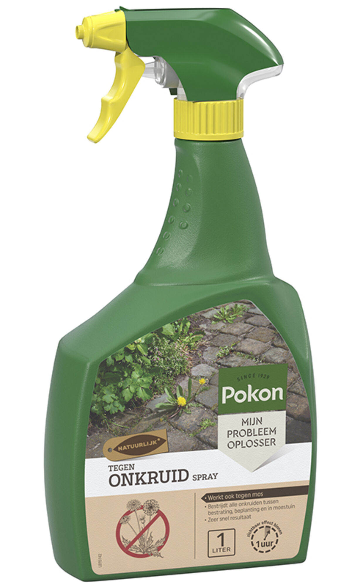Pokon Tegen Onkruid Spray