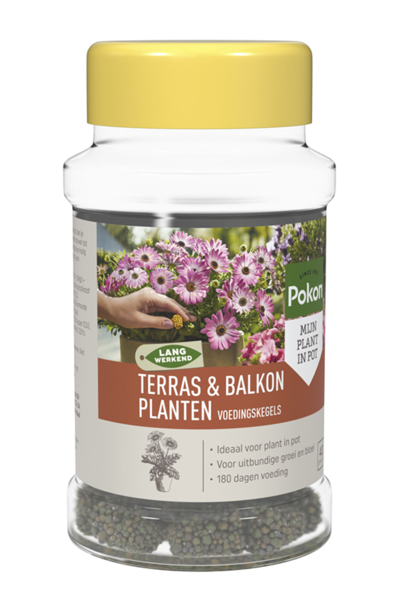 Pokon Terras-Balkon Voedingskegels