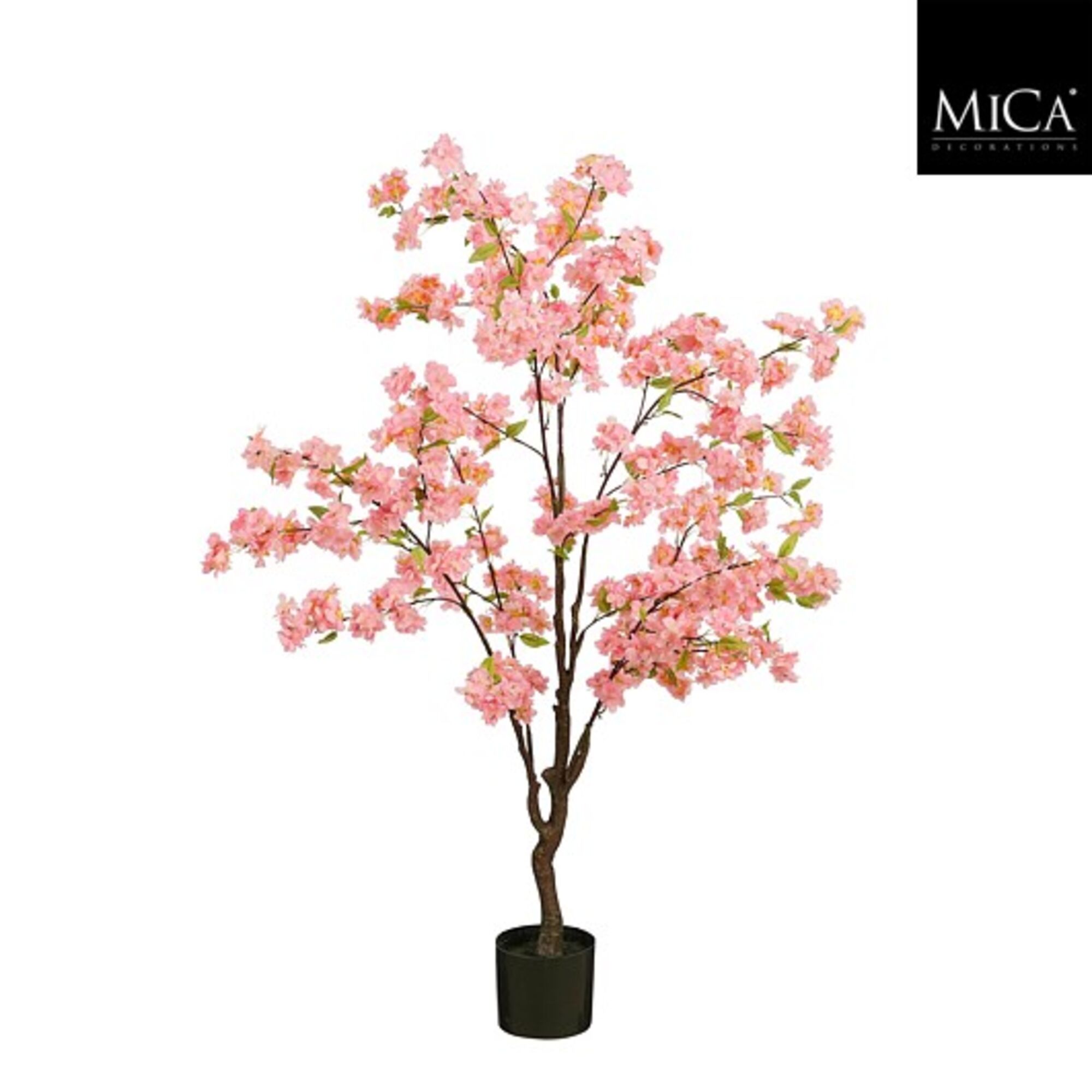 Bloesemboom in pot roze