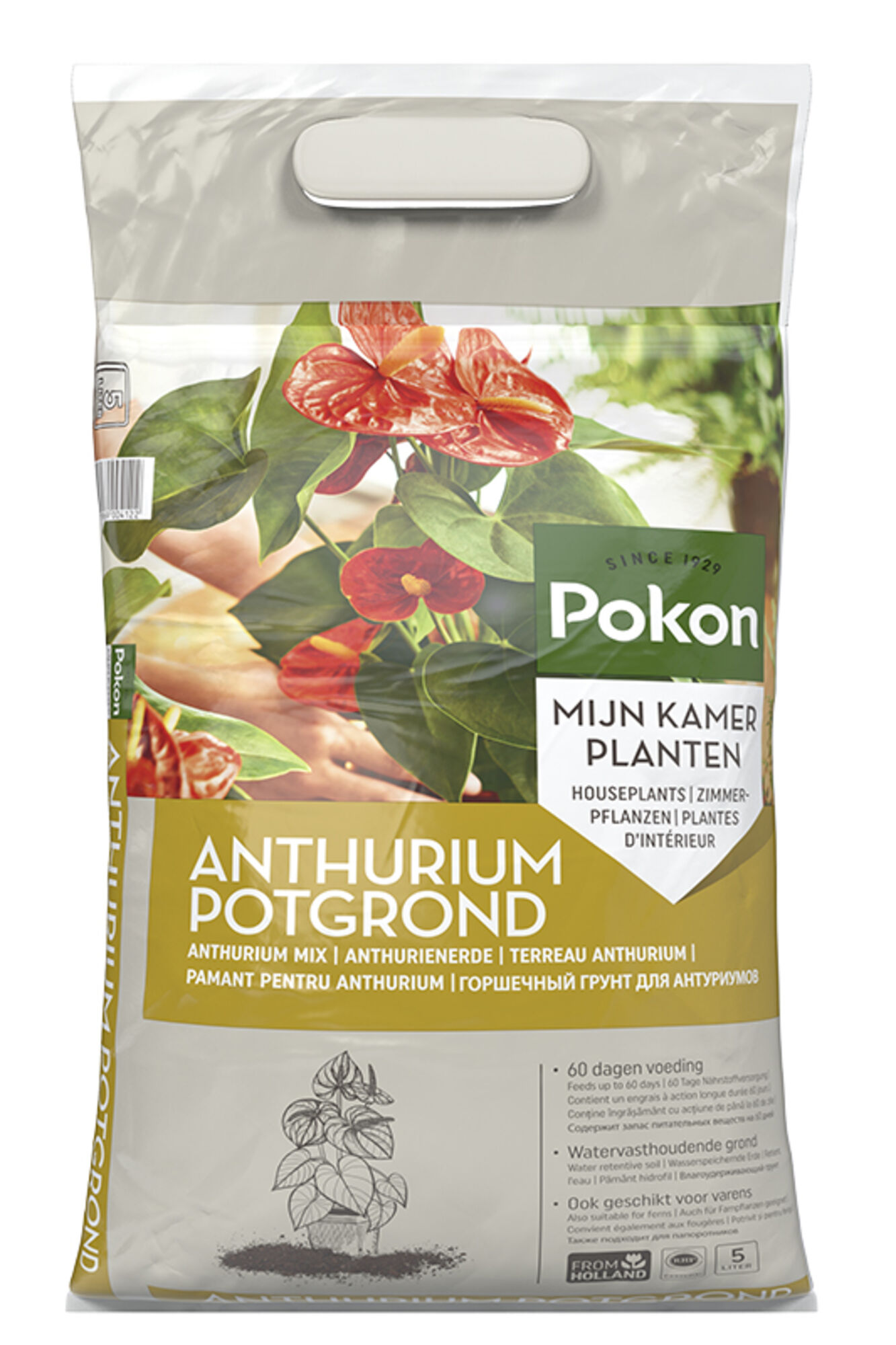 Pokon Anthurium Potgrond