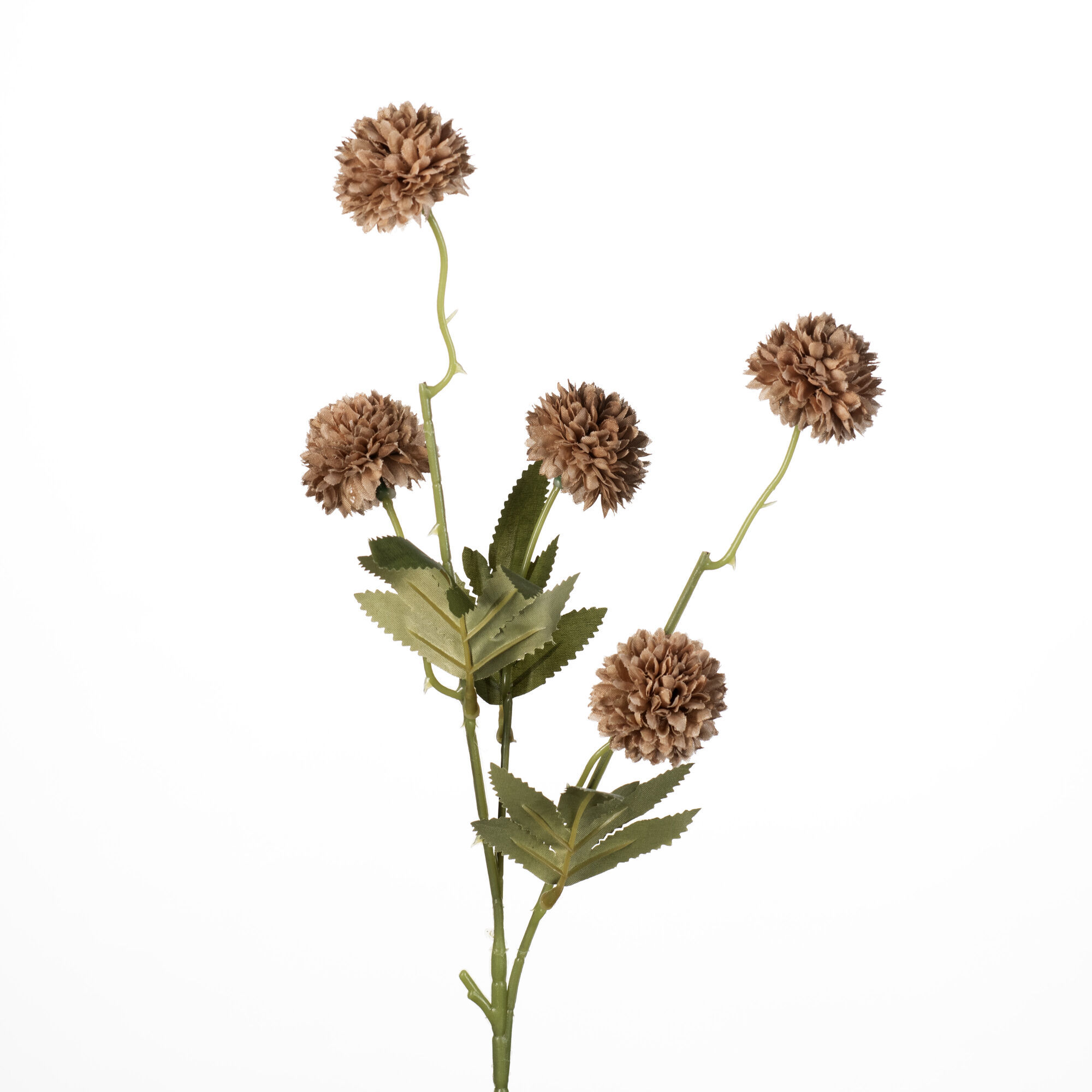 Gompy spray x5 brown