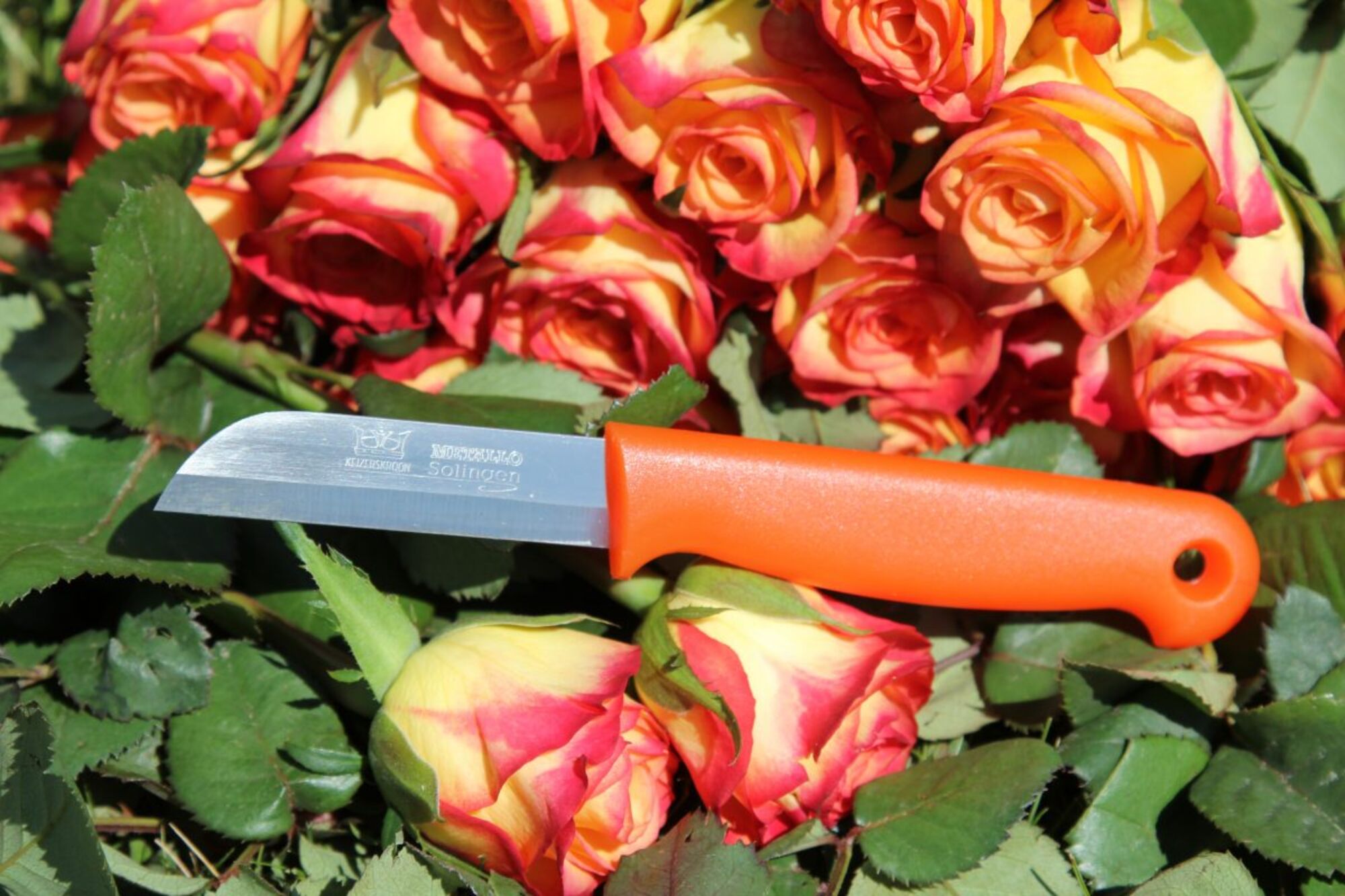 Schilmes - oranje - 160 mm