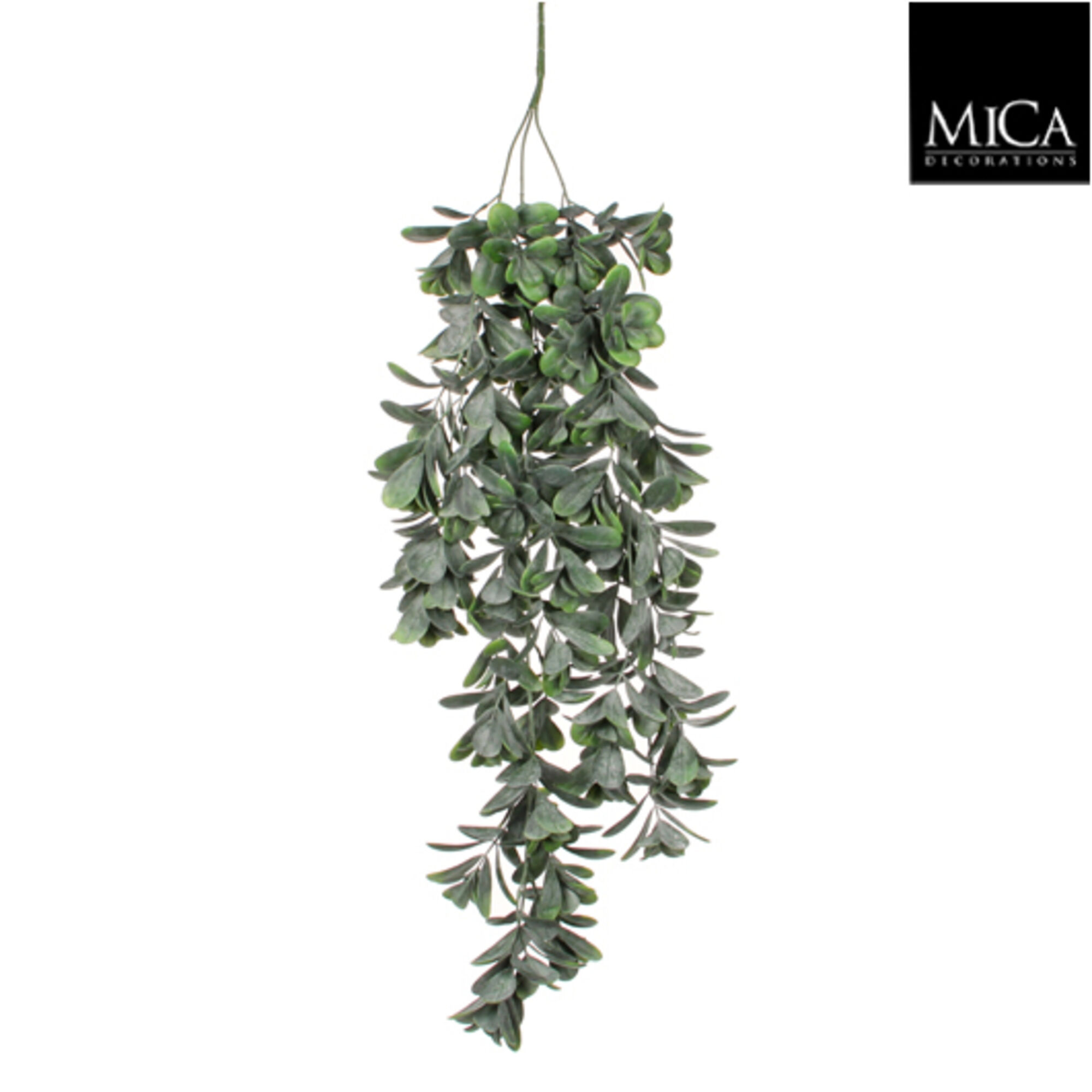 Crassula hangend groen