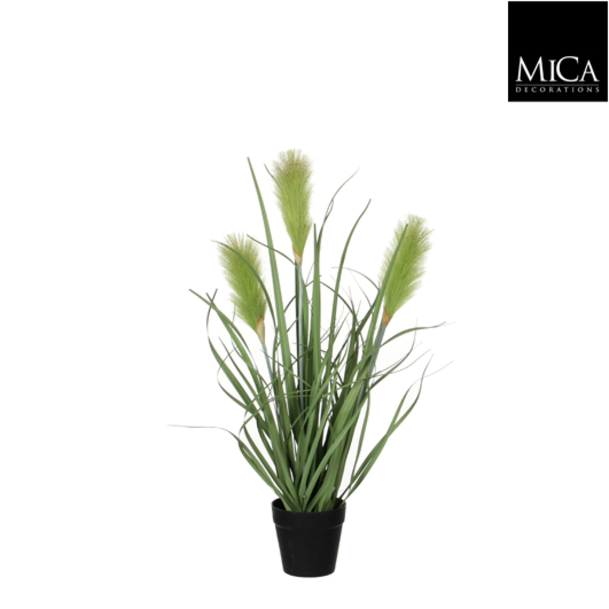 Riet gras groen in plastic pot d10cm