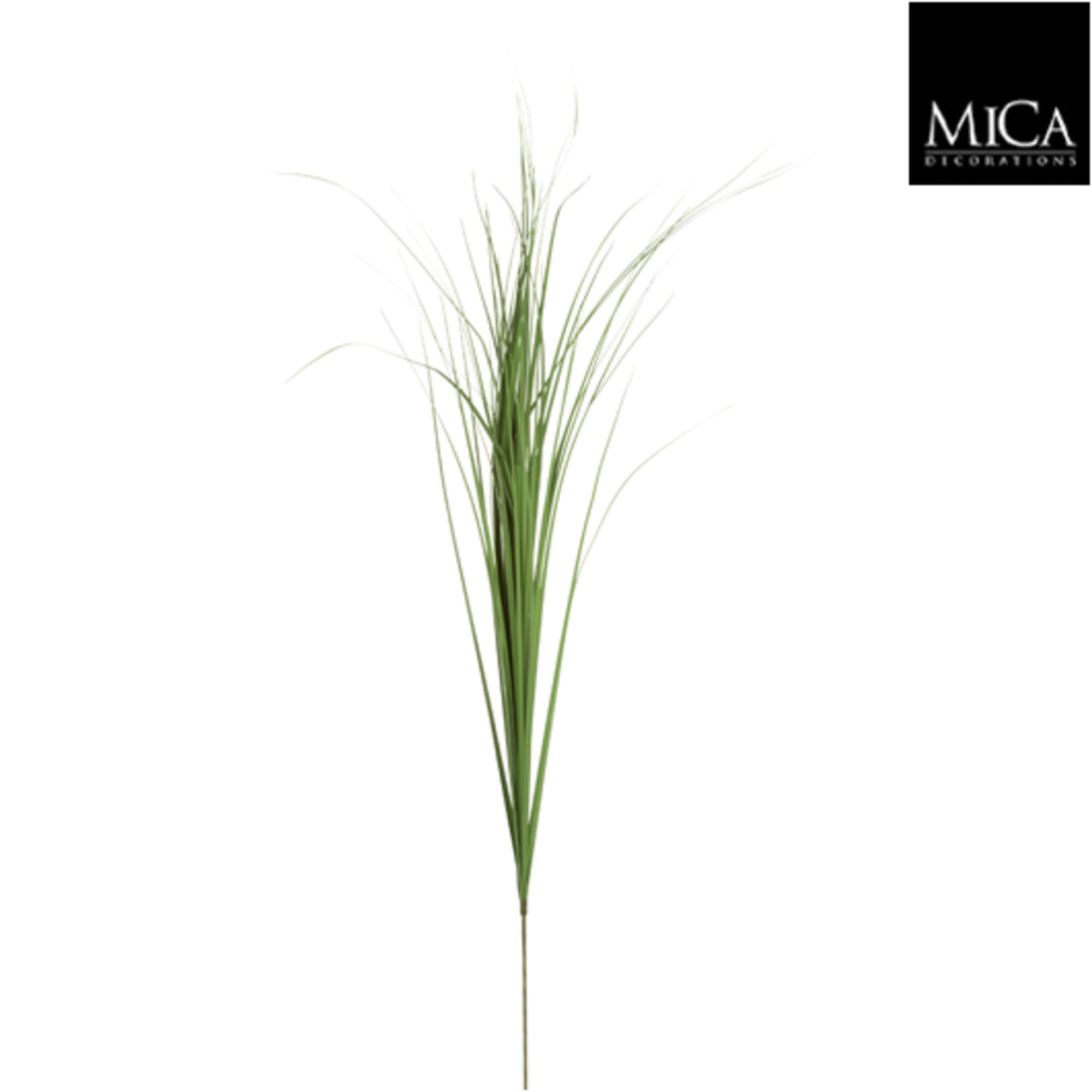 Riet gras groen