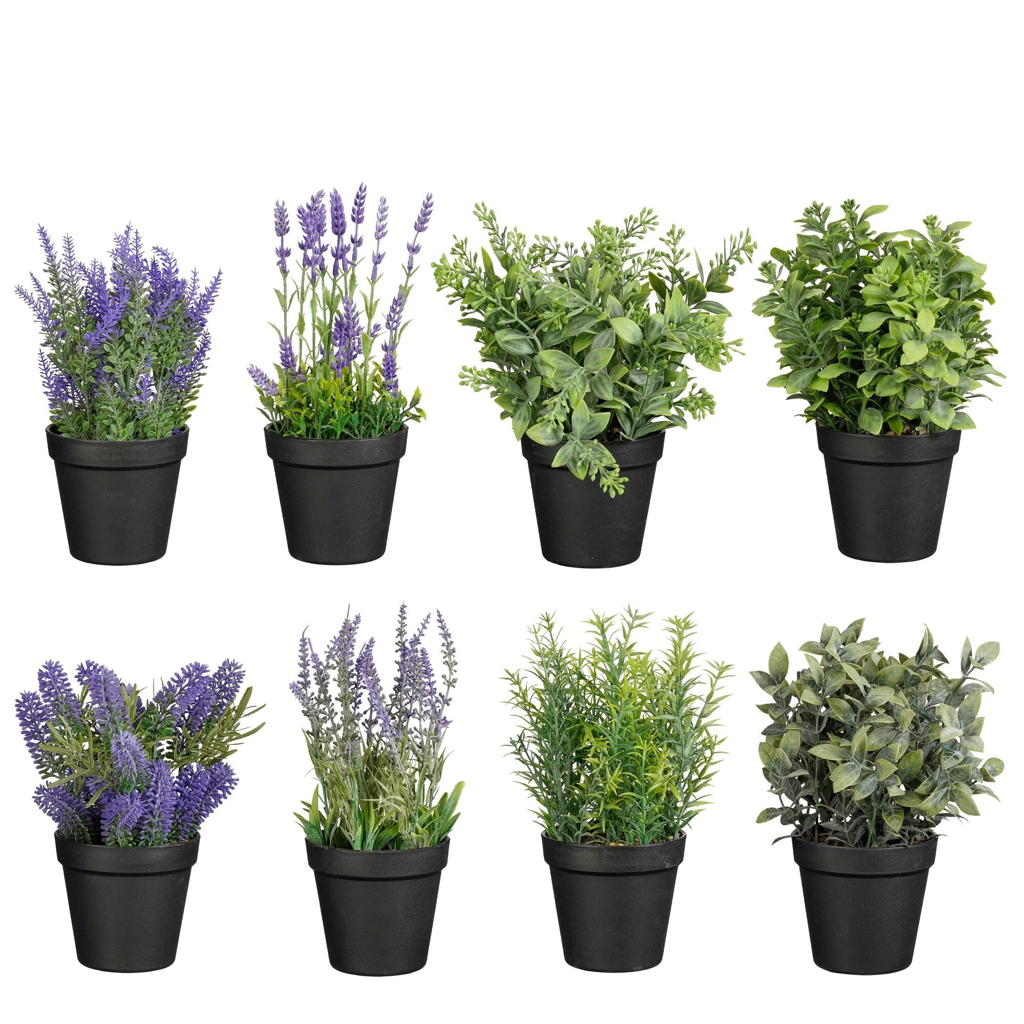 Kruiden lavendel in pot groen paars 8 assorti PDQ