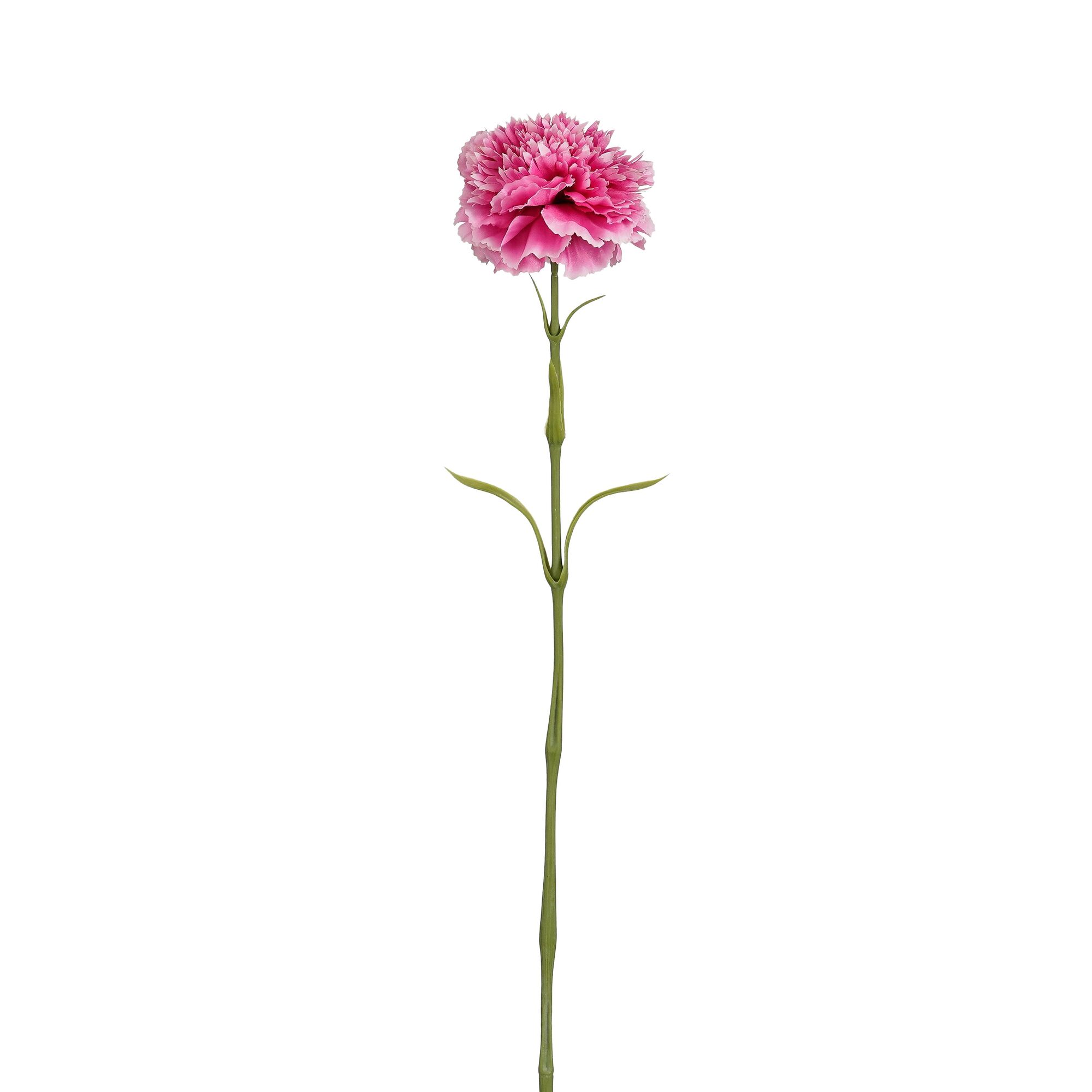 Anjer fuchsia Real Touch