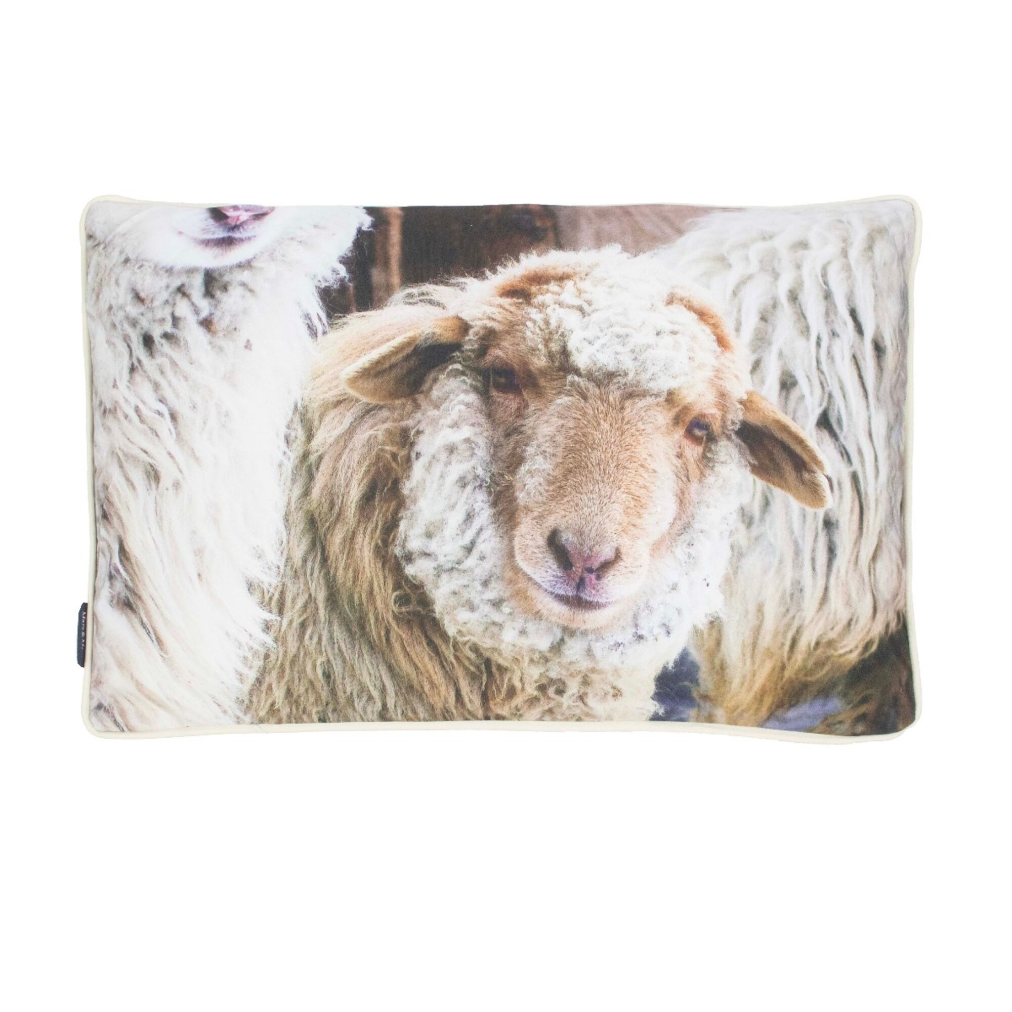 Schapen buitenkussen beige