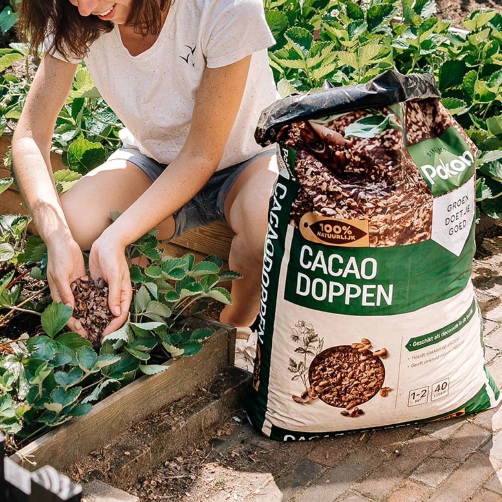 Pokon Cacaodoppen