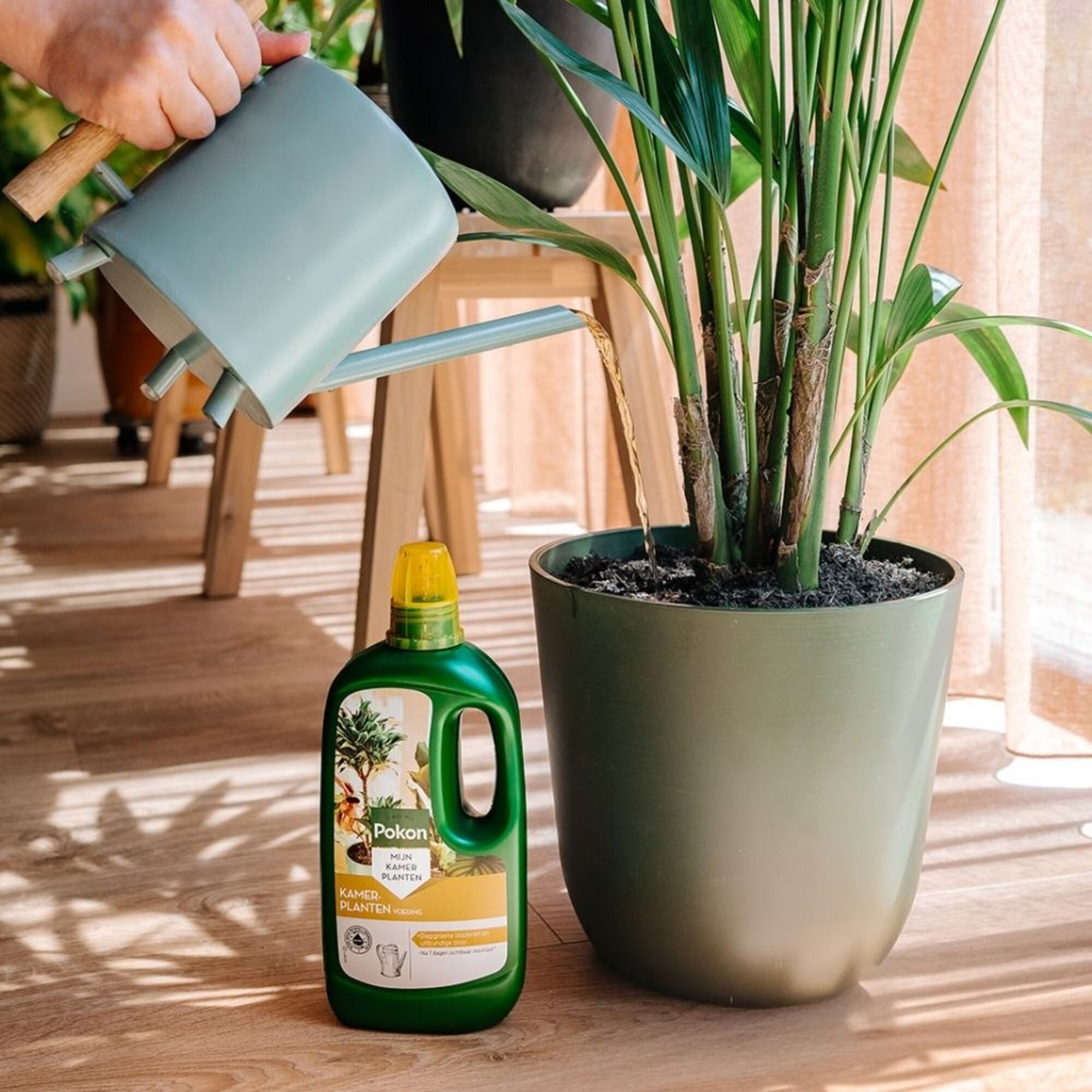 Pokon Bio Kamerplanten Voeding