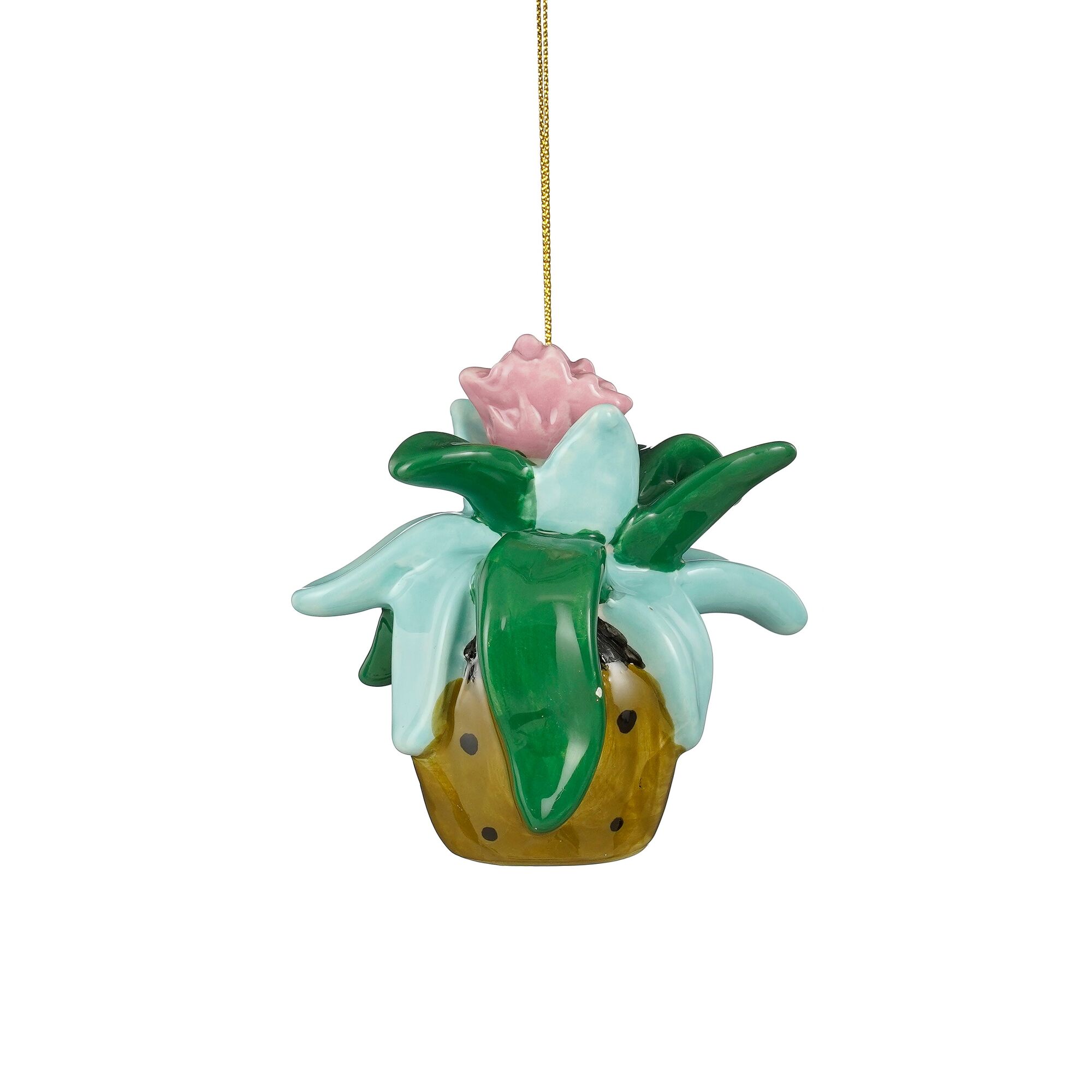 Ornament plant groen