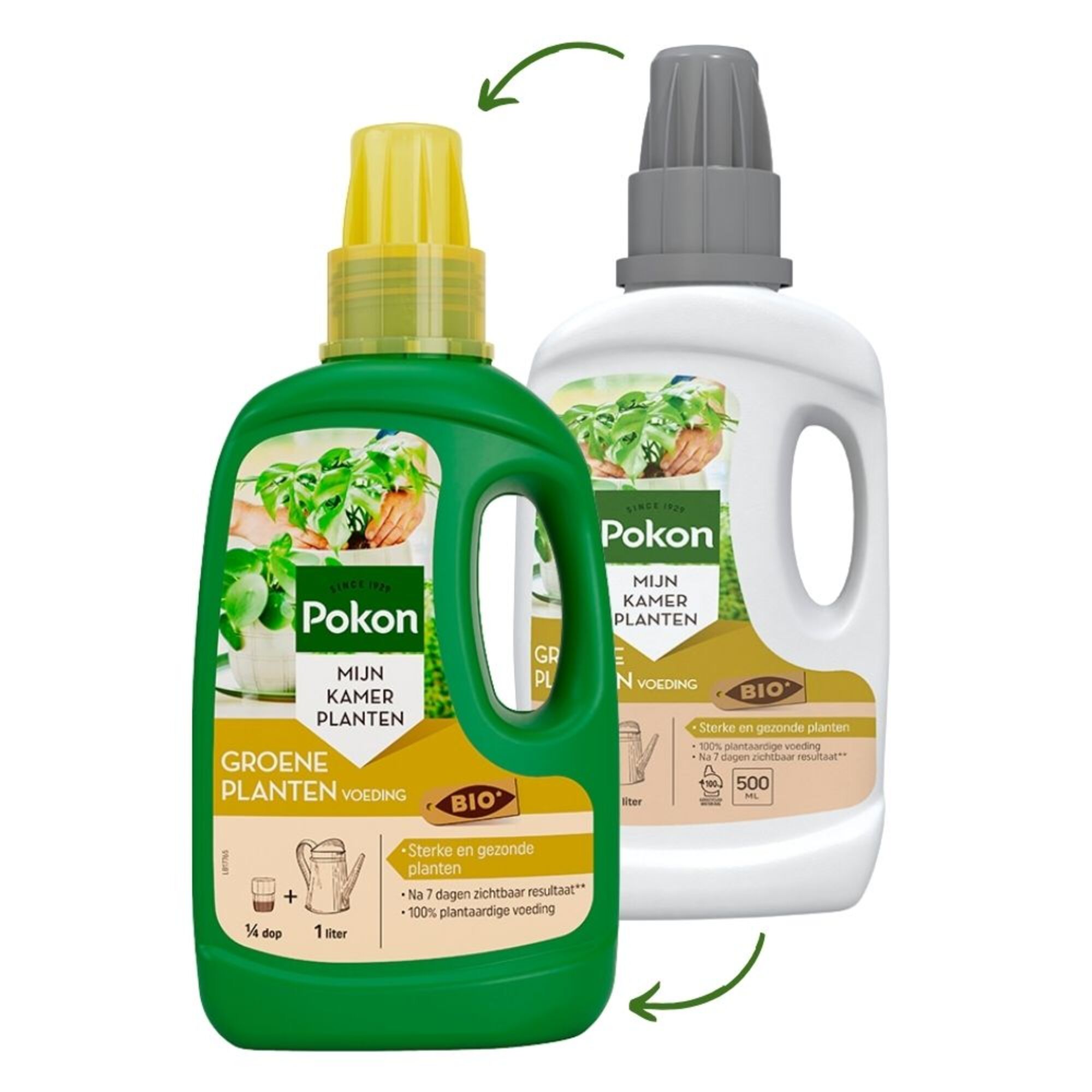 Pokon Bio Groene planten Voeding