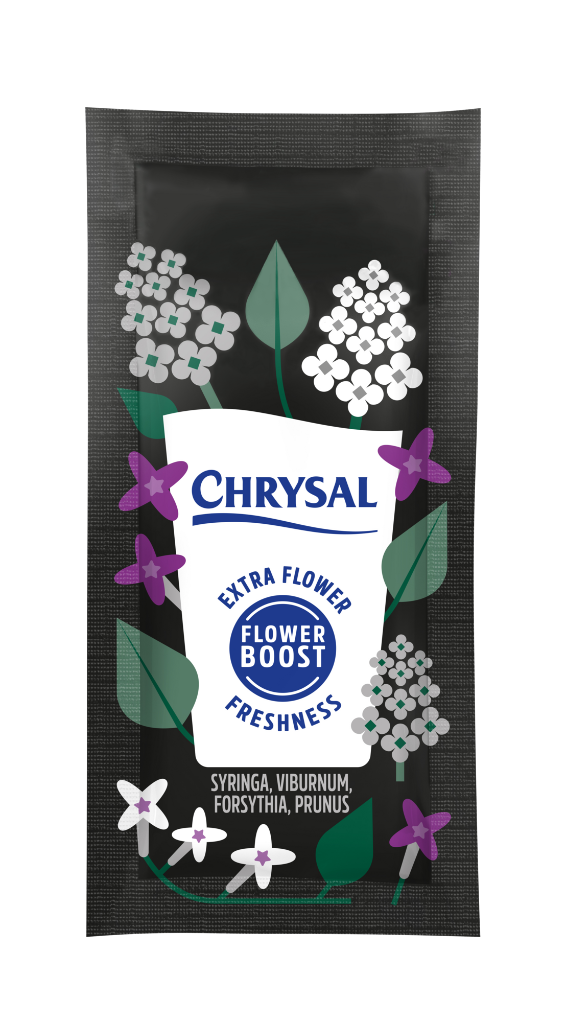 Chrysal Syringa