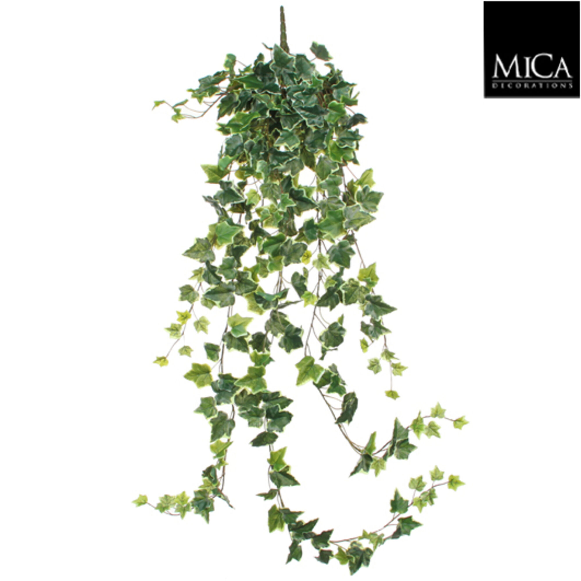 Hedera hangend groen bont
