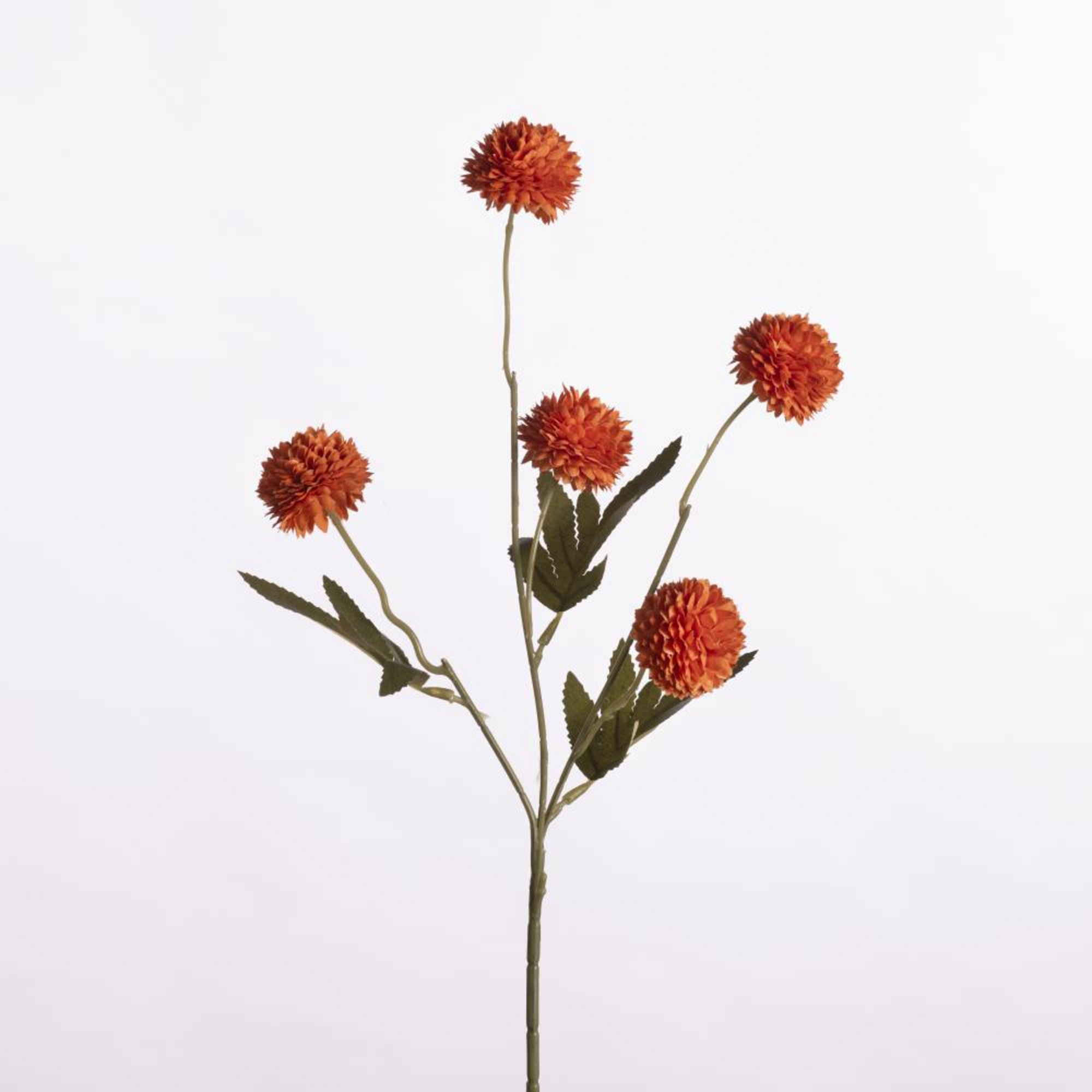 Gompy spray x5 - orange