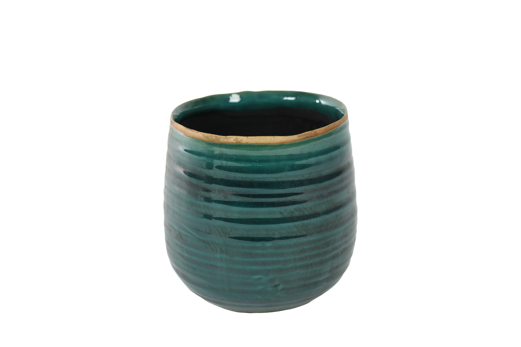 Pot Iris turquoise