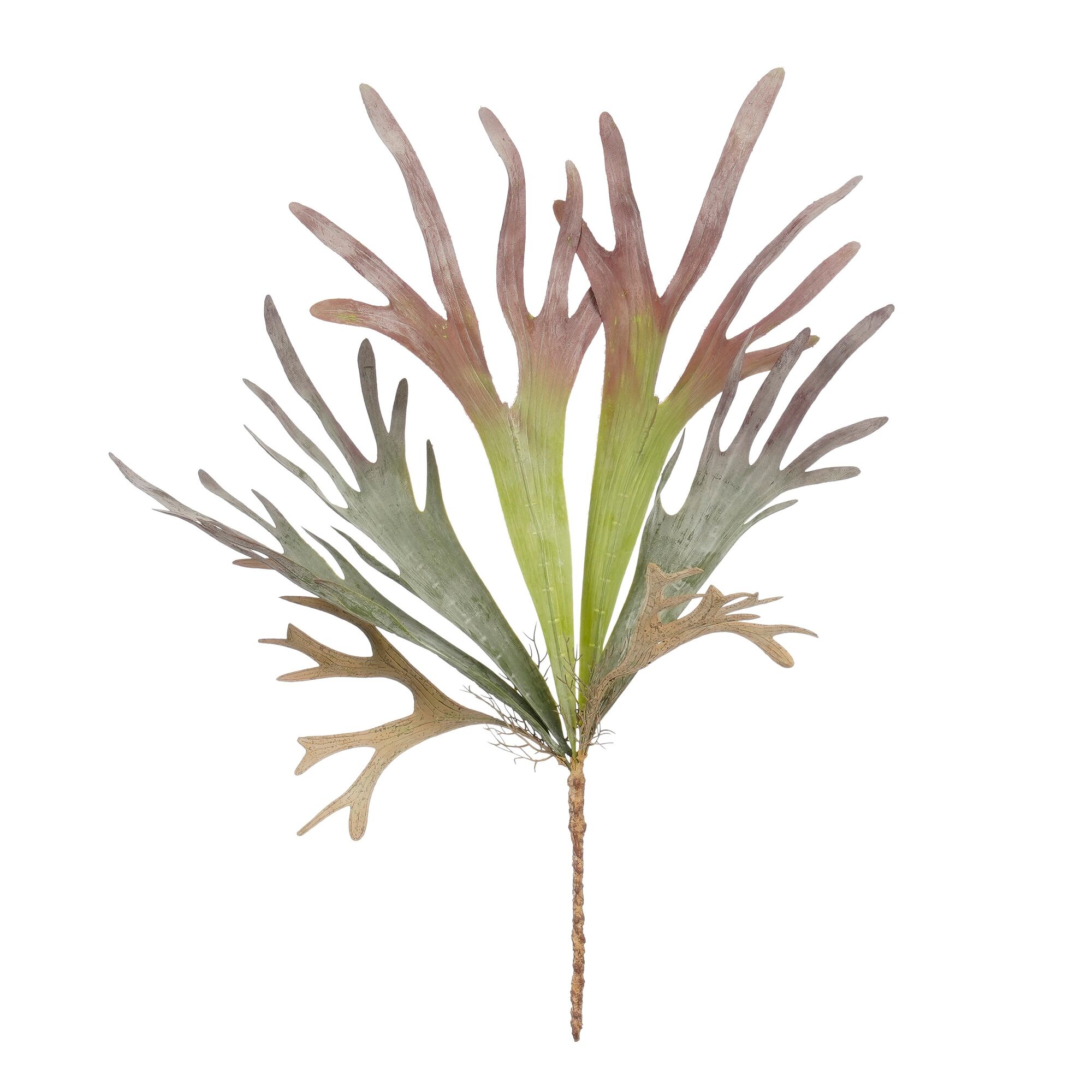 Citronella hangend rood