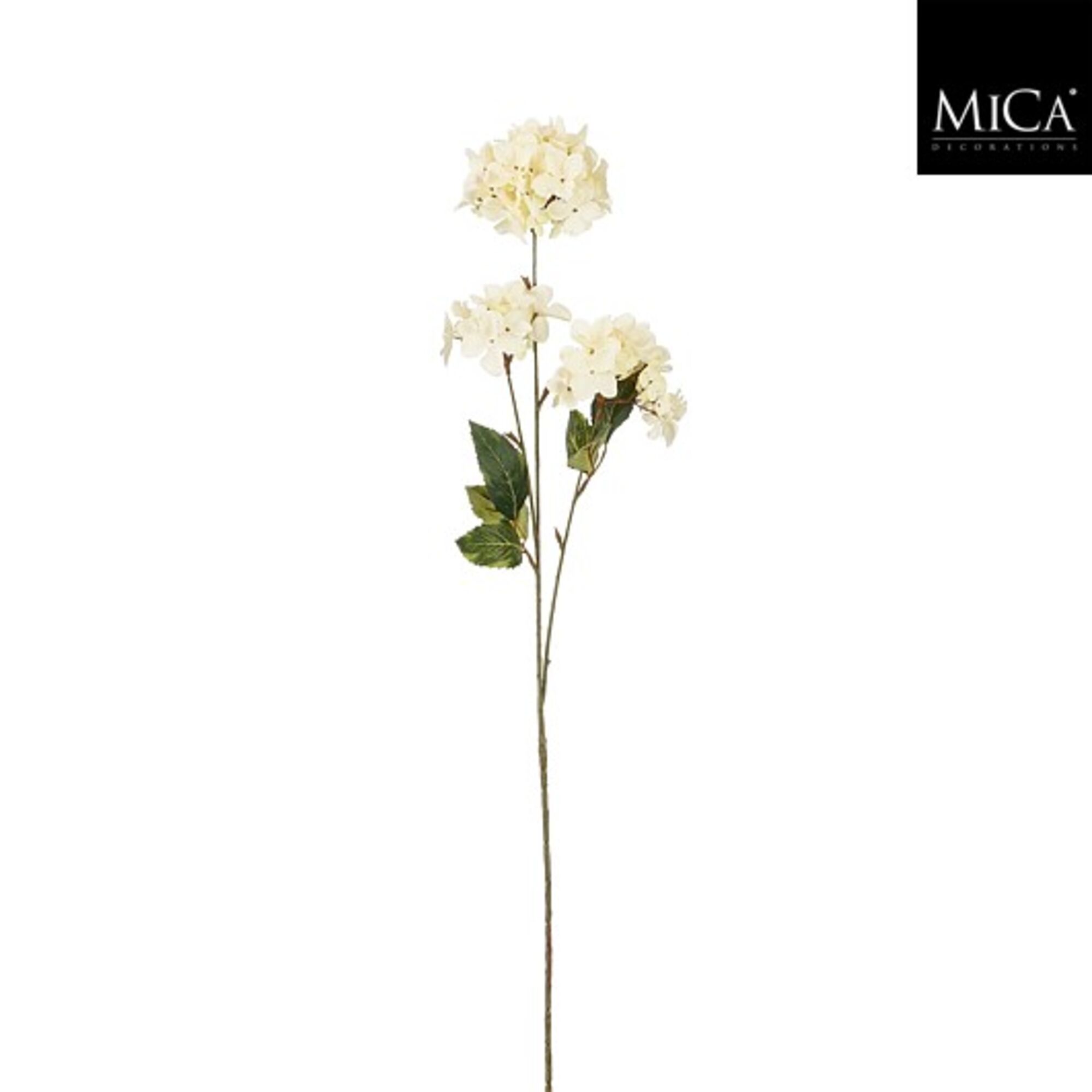 Hortensia creme