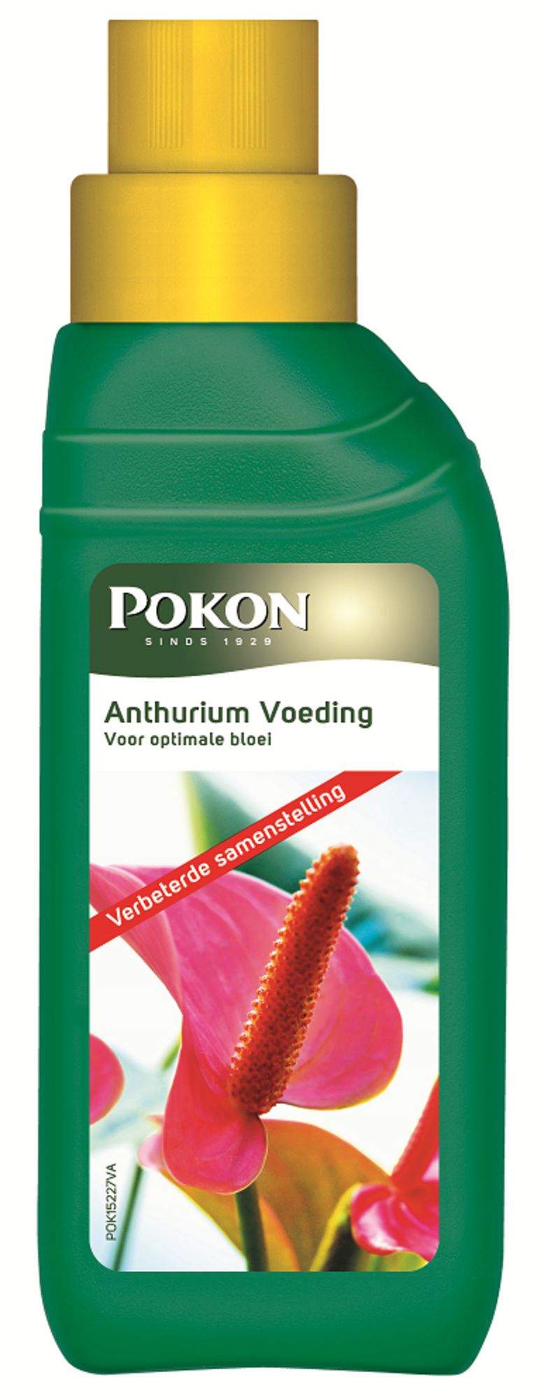 Pokon Anthurium