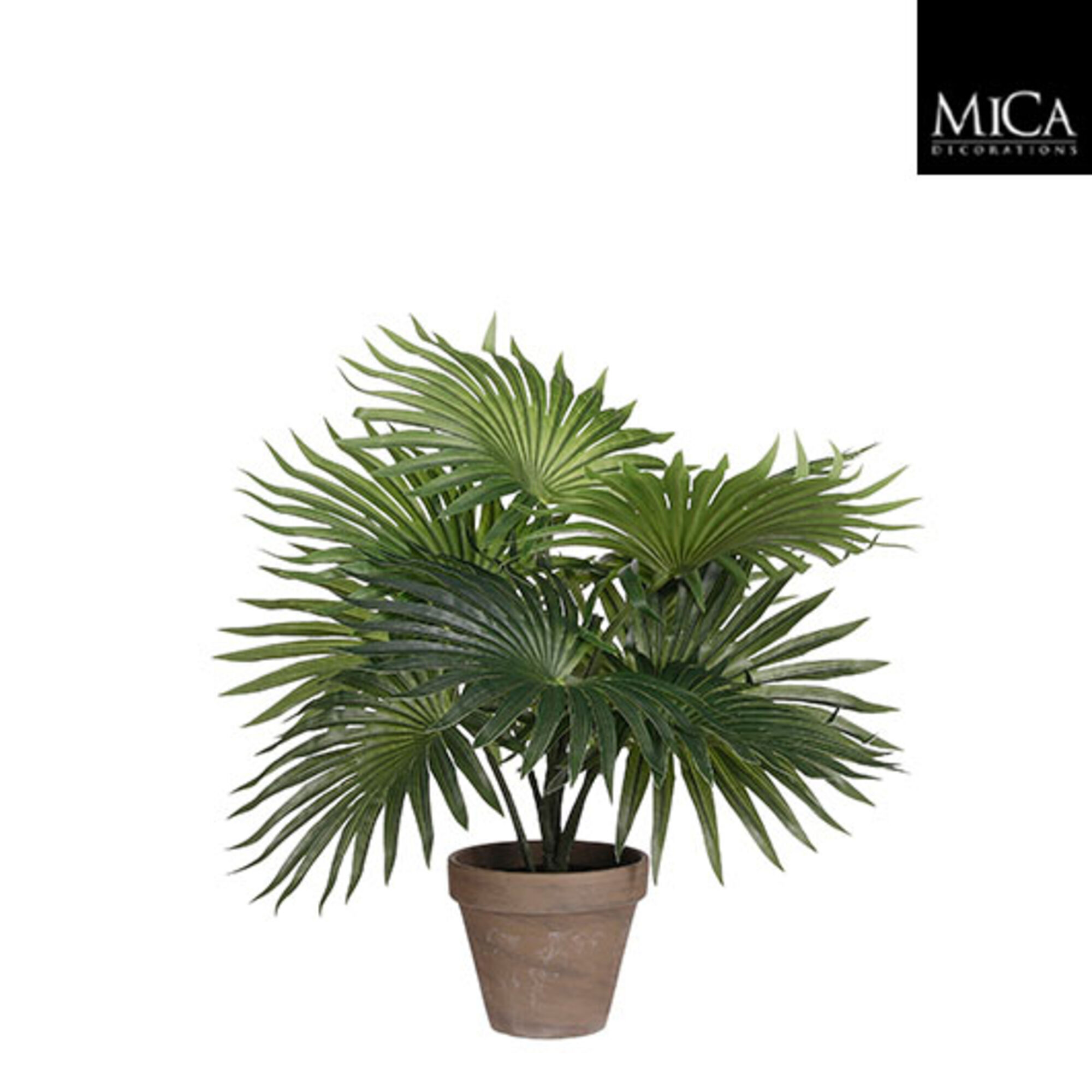 Palm groen in pot Stan grijs d11,5cm