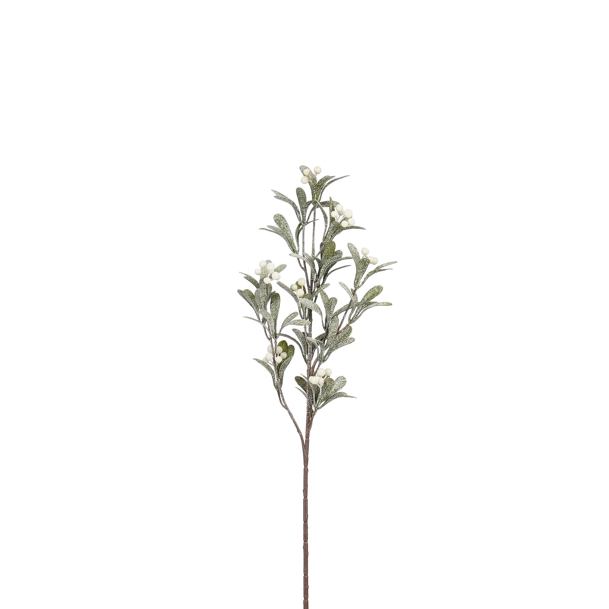 Maretak groen frosted