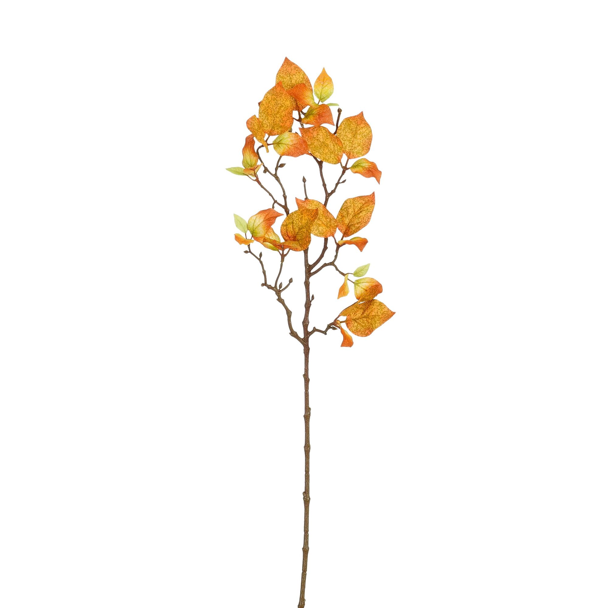 Cornus tak geel