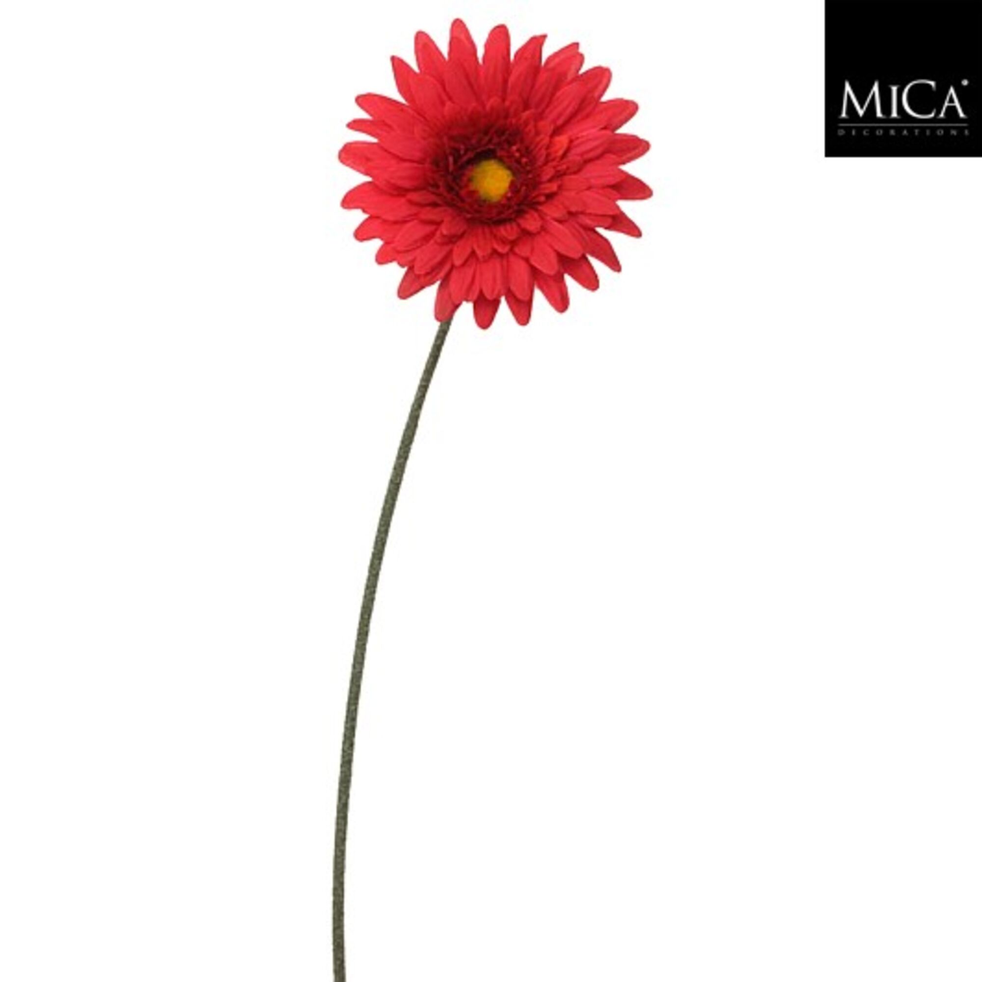 Gerbera rood