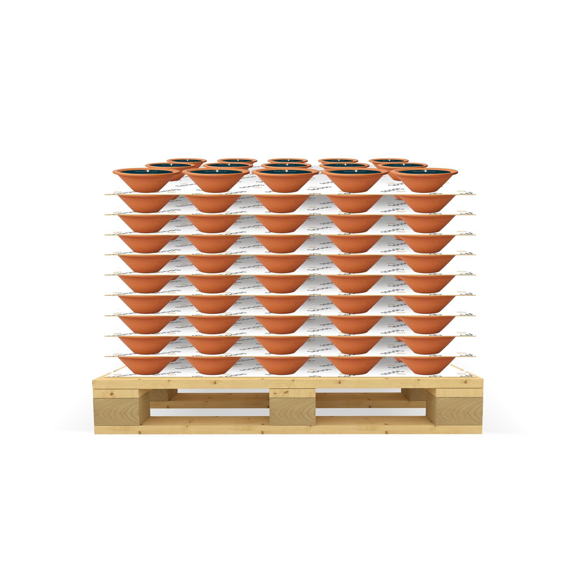 Conical Royal Flame ivoor