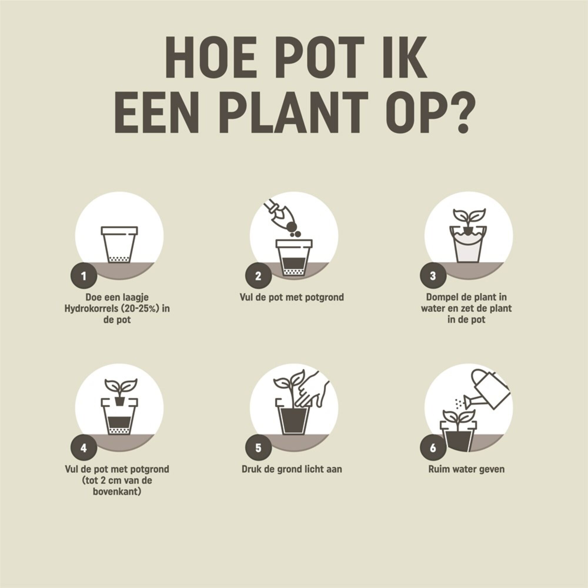 Pokon Cactus Potgrond