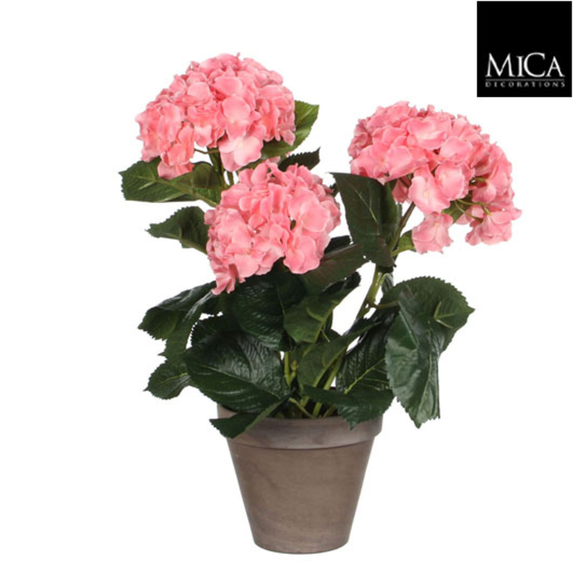 Hortensia roze in pot Stan grijs d13,5cm