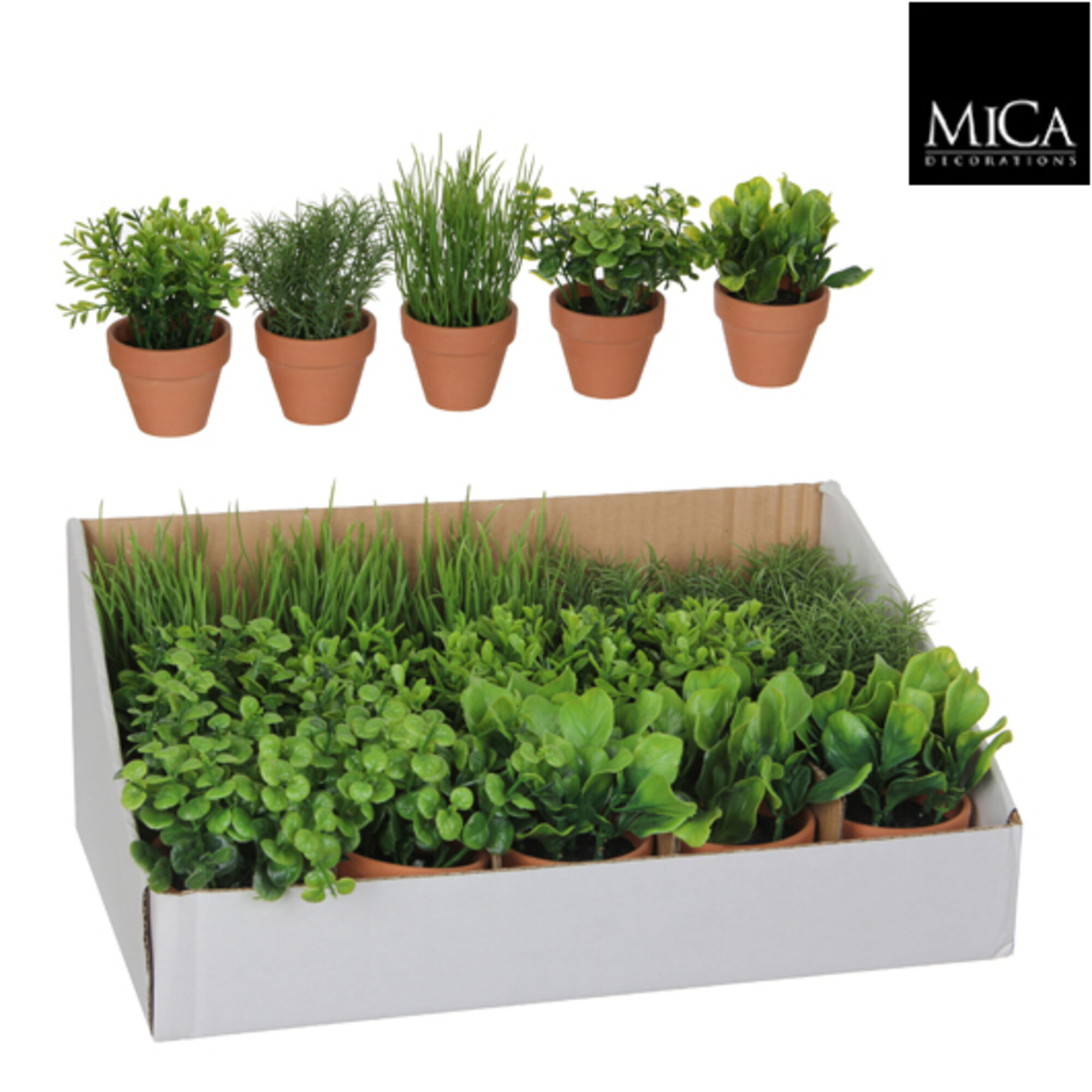 Kruiden in pot groen 5 assorti display