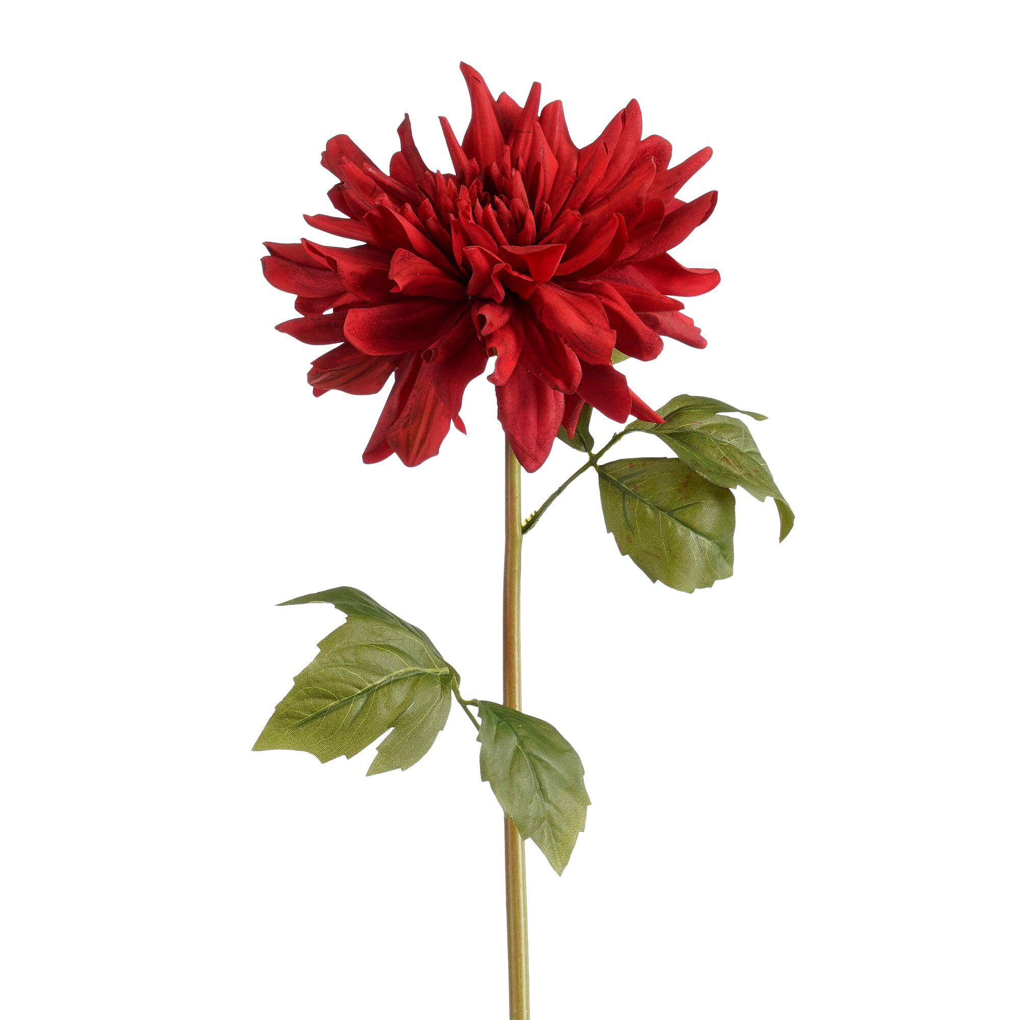 Dahlia rood Real Touch