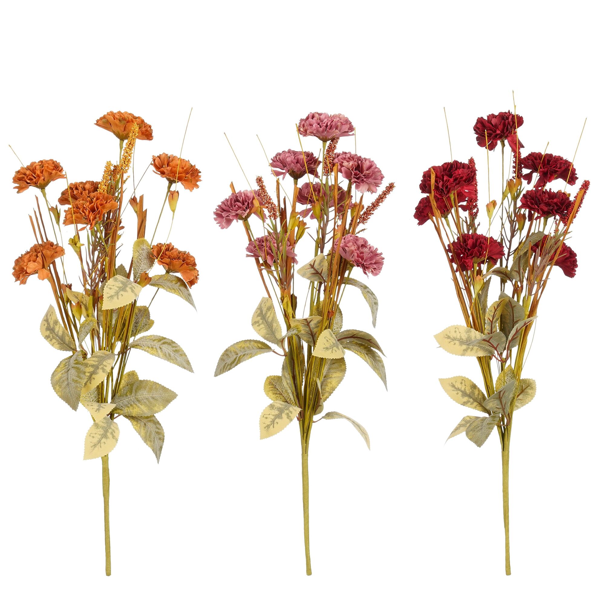 Zinnia roze bordeaux oranje 3 assorti