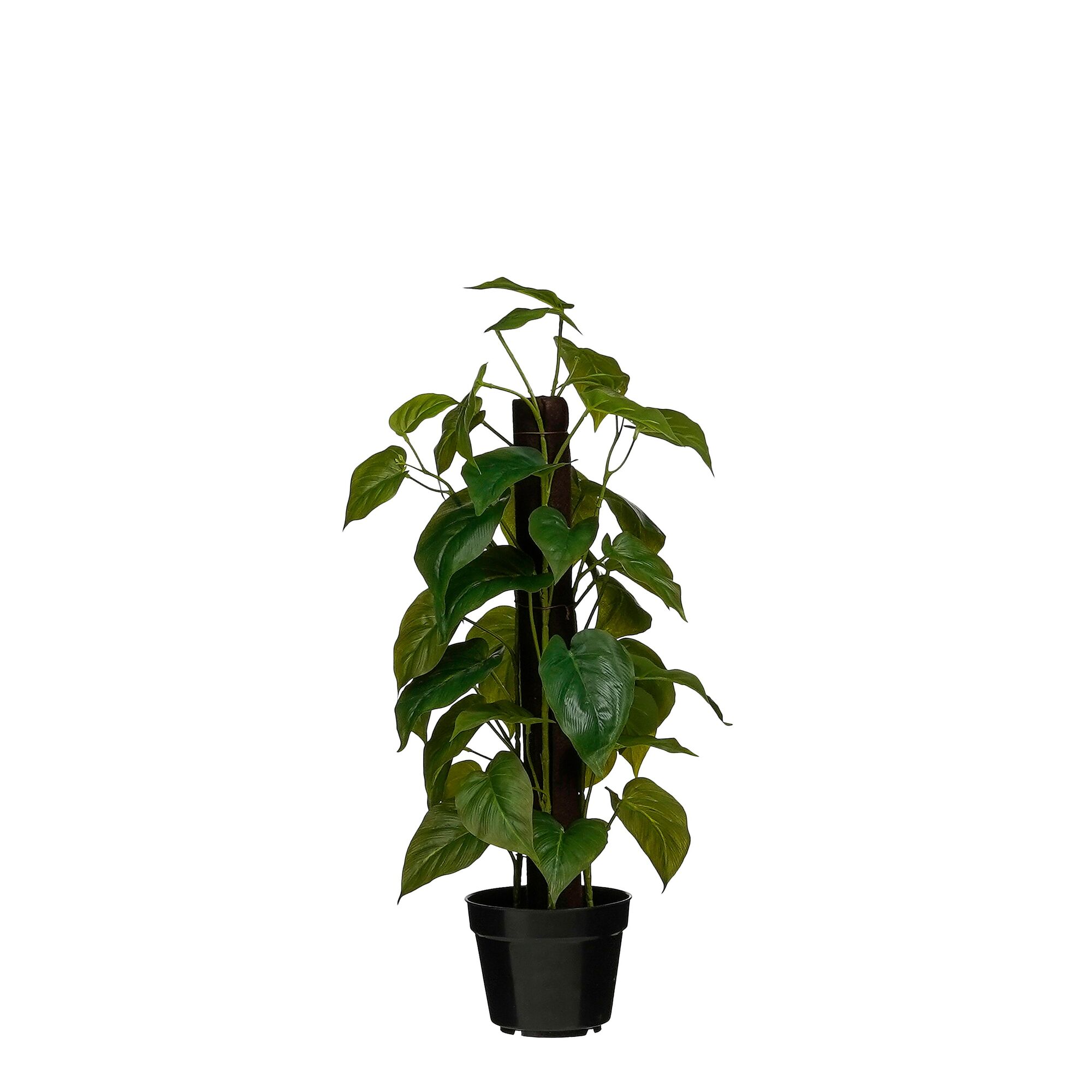 Philo in pot groen Real Touch