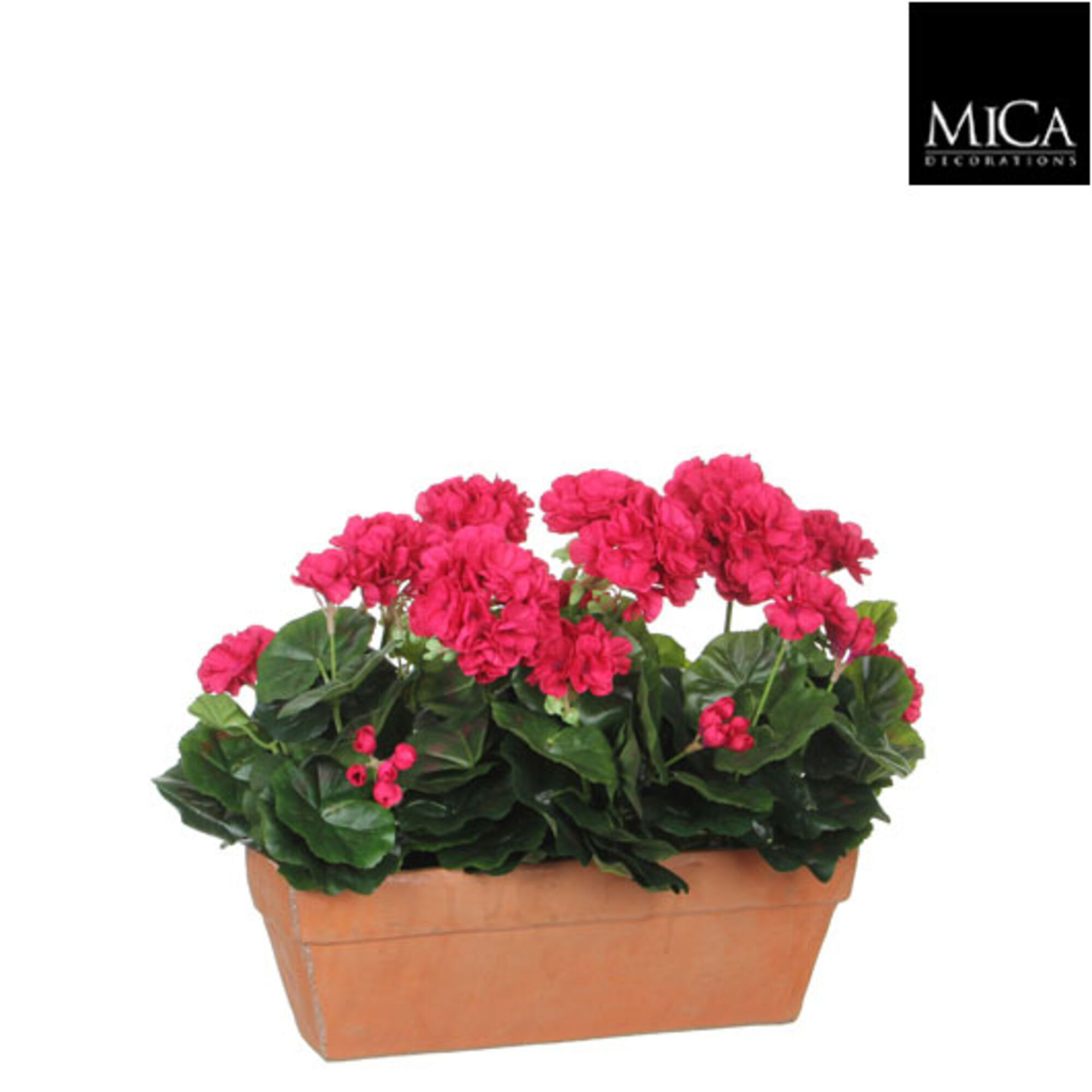 Geranium d.roze in balkonbak terra