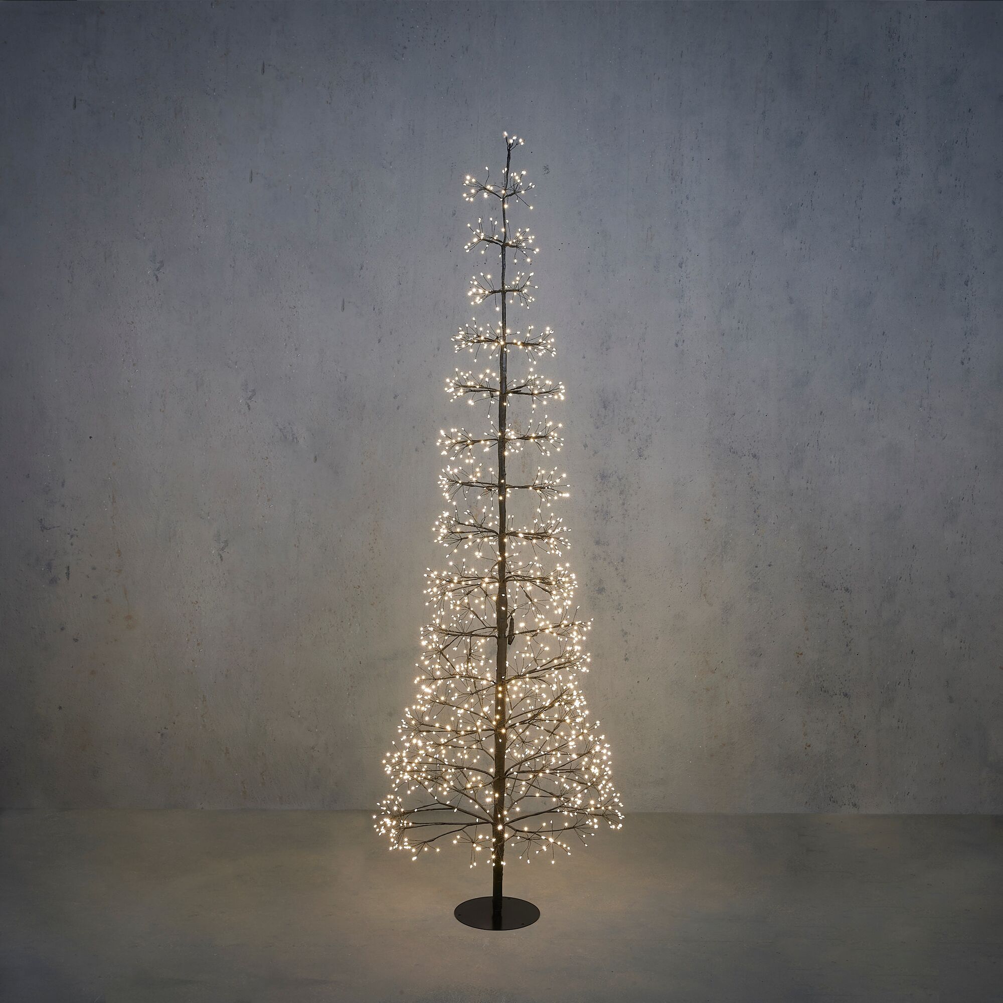 Boom zwart klassiek wit 1600 led IP44 adapter included en timer