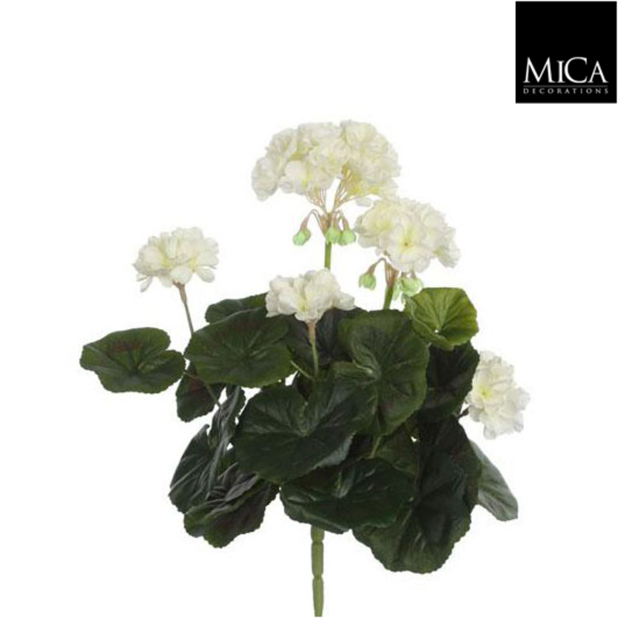 Geranium creme