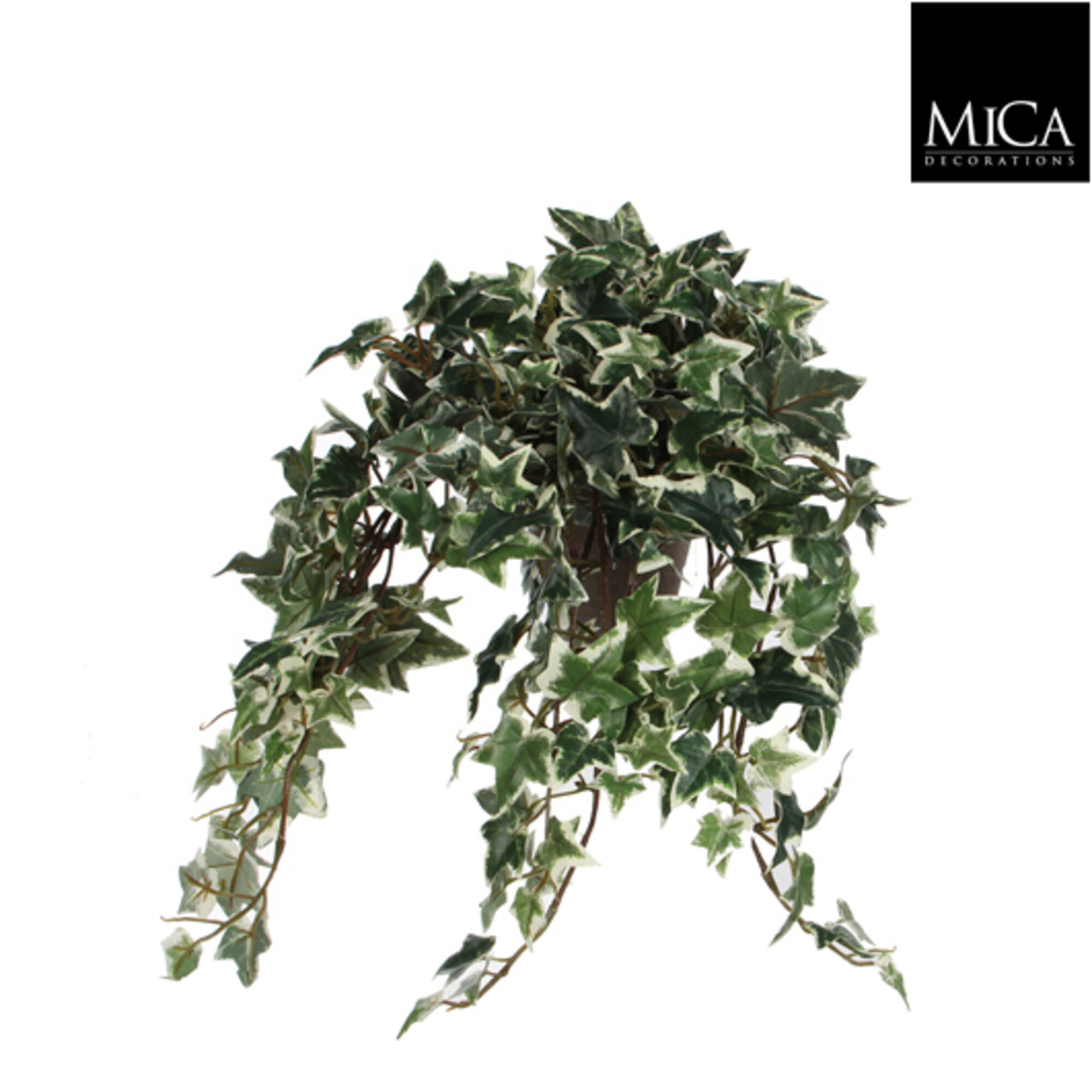 Hedera groen bont in pot Stan grijs d11,5cm